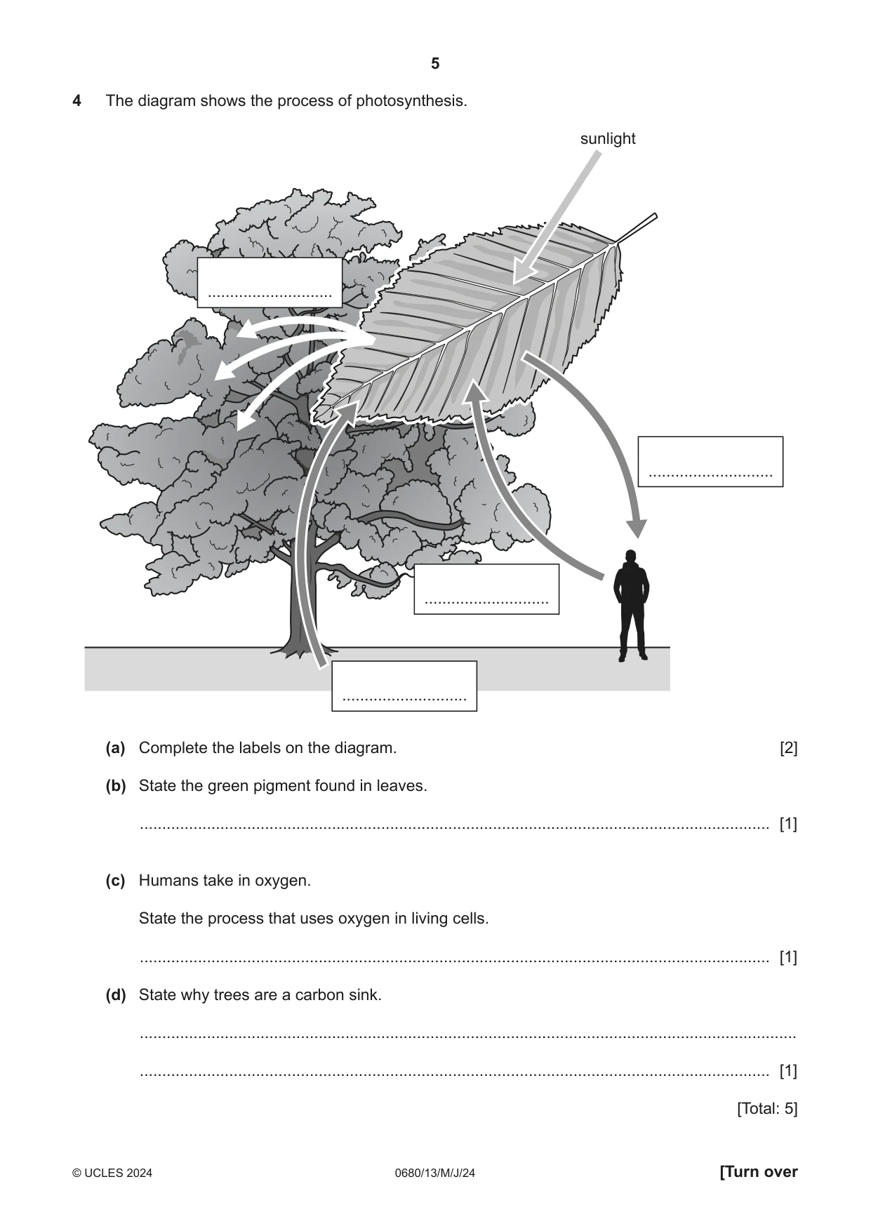 Cambridge IGCSE Environmental Management 0680 2024 May/June Paper 1 · Variant 3 question paper, page 5 of 20