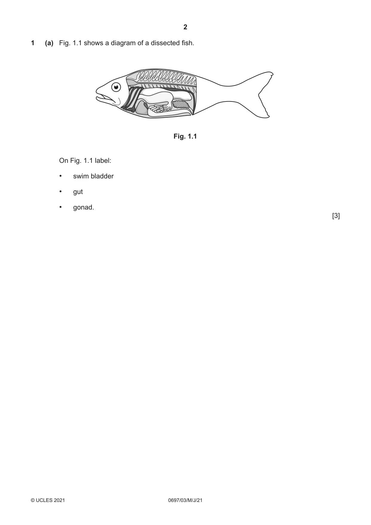 Cambridge IGCSE Marine Science (Maldives only) 0697 2021 May/June Paper 3 · Variant 0 question paper, page 2 of 16