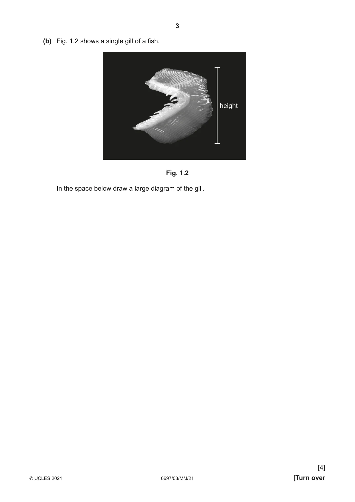 Cambridge IGCSE Marine Science (Maldives only) 0697 2021 May/June Paper 3 · Variant 0 question paper, page 3 of 16