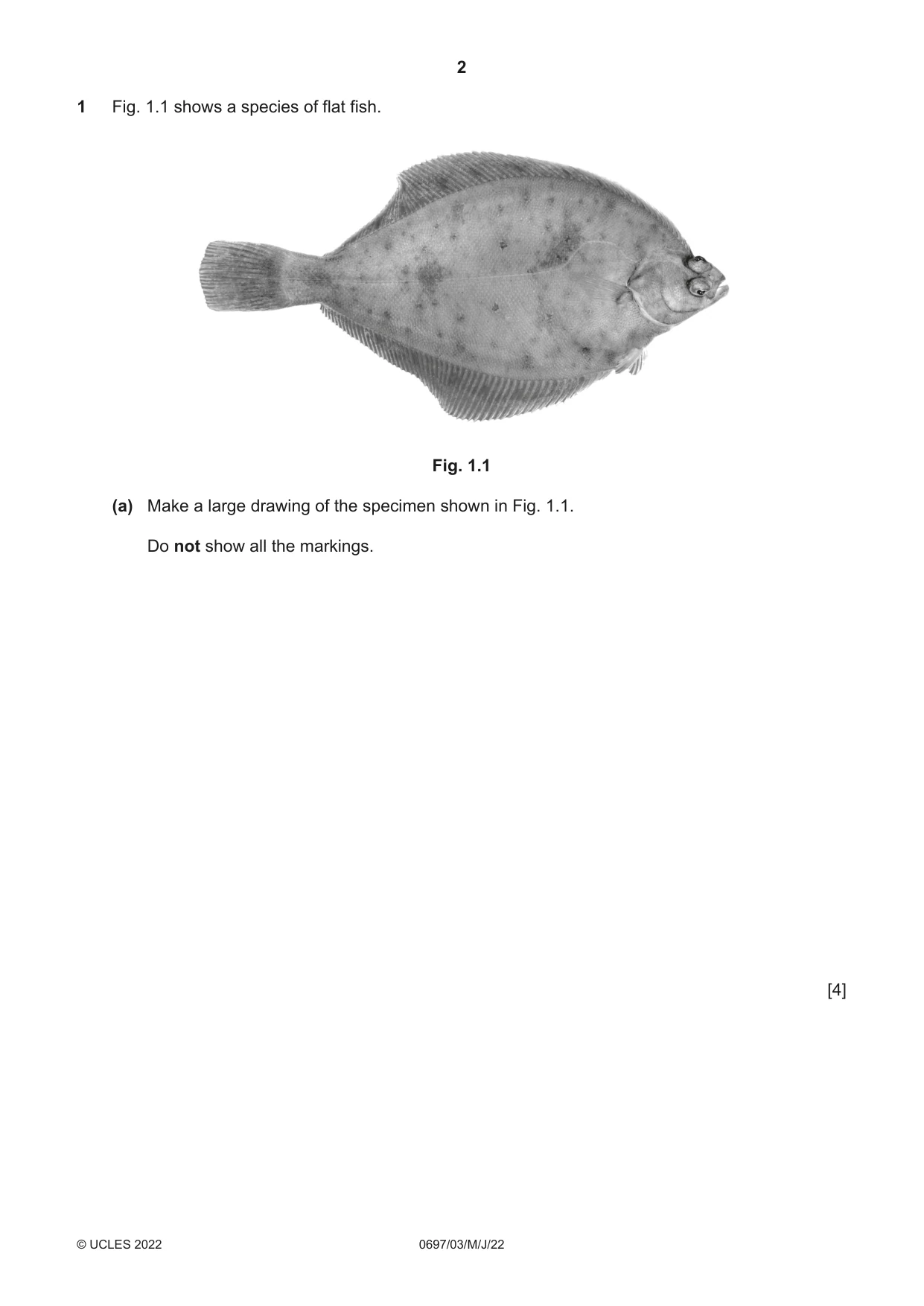 Cambridge IGCSE Marine Science (Maldives only) 0697 2022 May/June Paper 3 · Variant 0 question paper, page 2 of 12