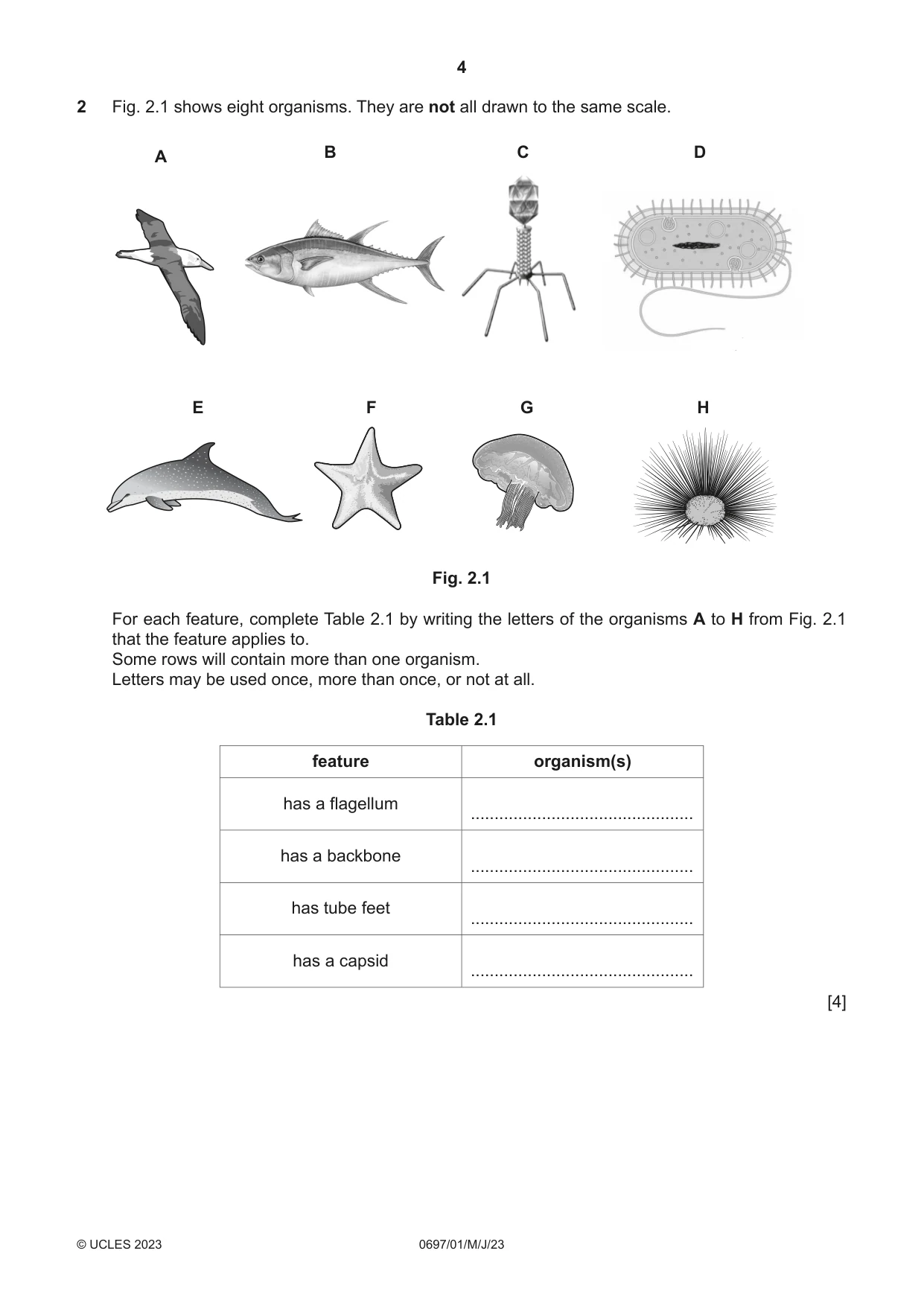 Cambridge IGCSE Marine Science (Maldives only) 0697 2023 May/June Paper 1 · Variant 0 question paper, page 4 of 16