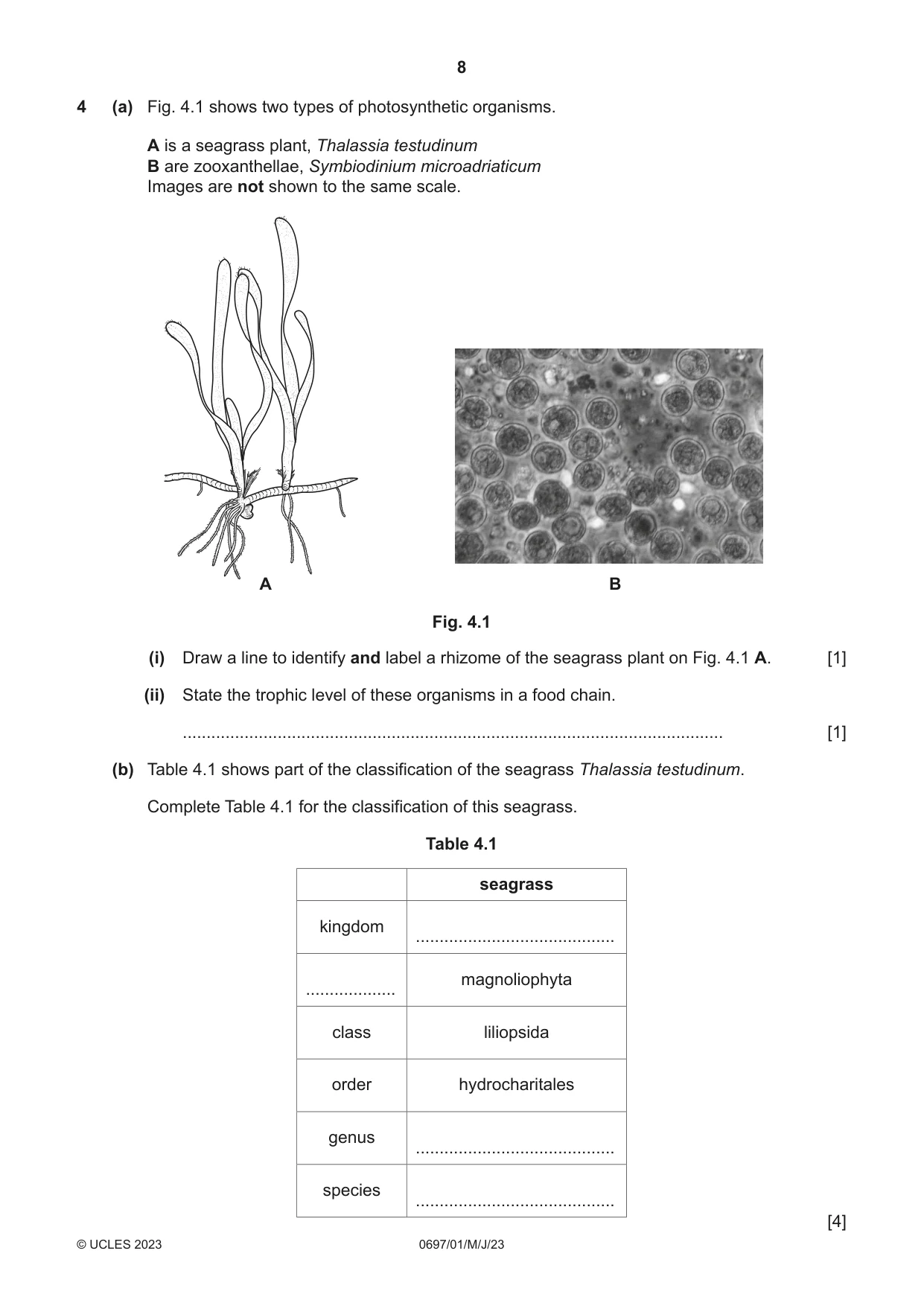 Cambridge IGCSE Marine Science (Maldives only) 0697 2023 May/June Paper 1 · Variant 0 question paper, page 8 of 16
