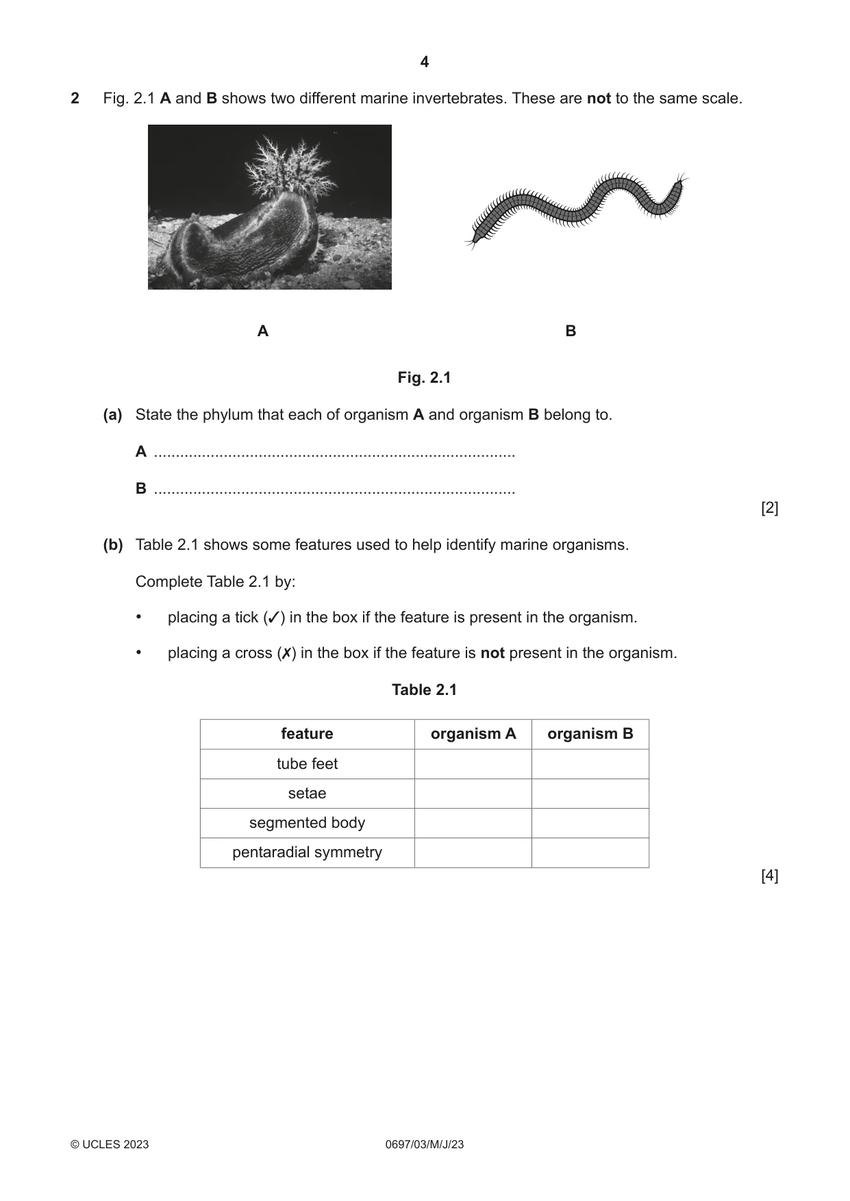 Cambridge IGCSE Marine Science (Maldives only) 0697 2023 May/June Paper 3 · Variant 0 question paper, page 4 of 12