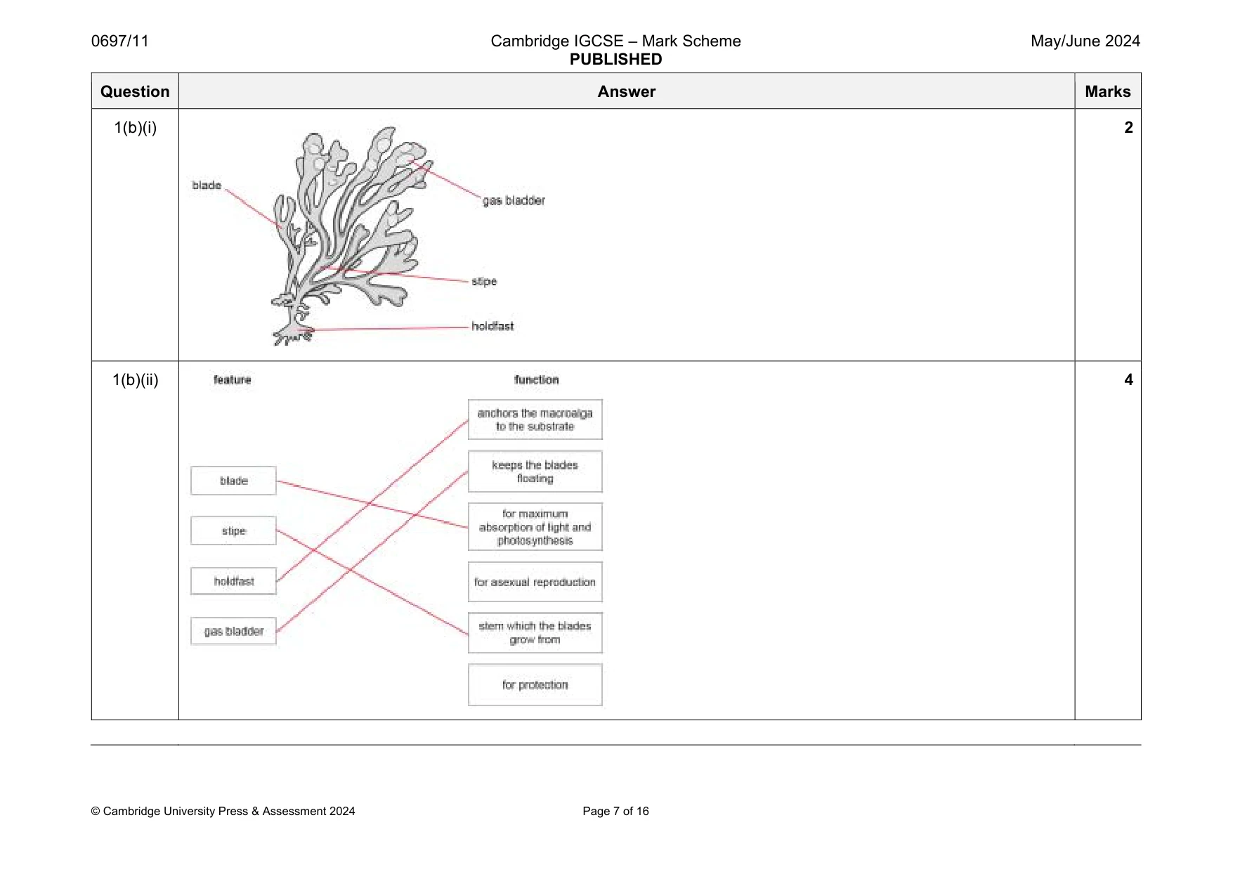 Mark scheme, page 7 of 16