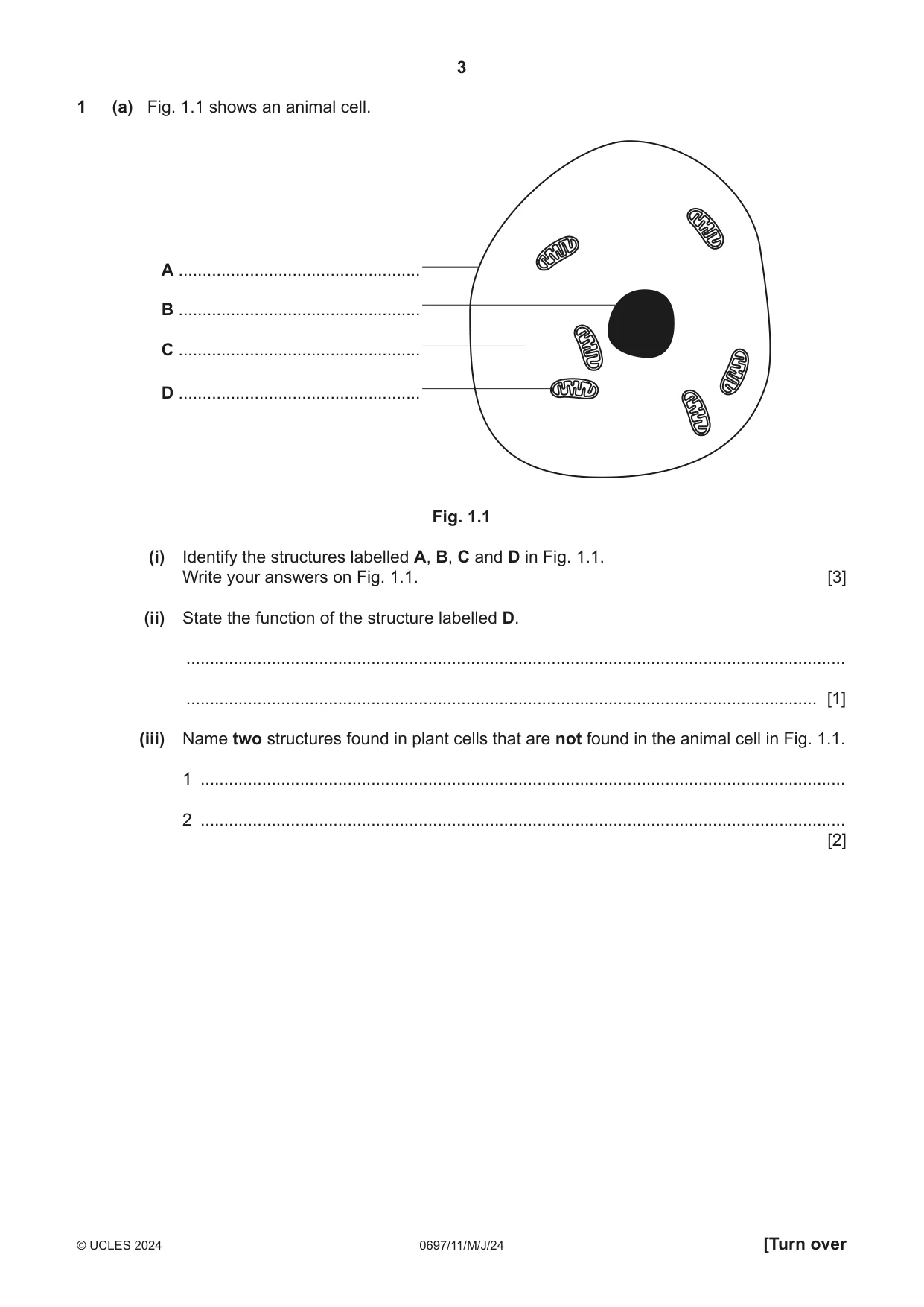 Cambridge IGCSE Marine Science (Maldives only) 0697 2024 May/June Paper 1 · Variant 1 question paper, page 3 of 20