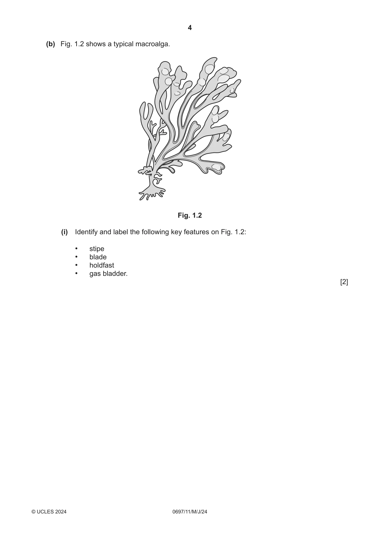Cambridge IGCSE Marine Science (Maldives only) 0697 2024 May/June Paper 1 · Variant 1 question paper, page 4 of 20