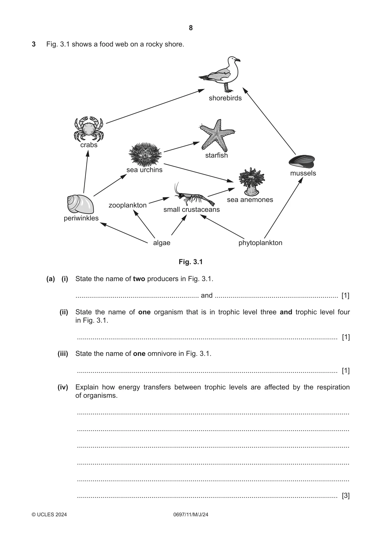 Cambridge IGCSE Marine Science (Maldives only) 0697 2024 May/June Paper 1 · Variant 1 question paper, page 8 of 20