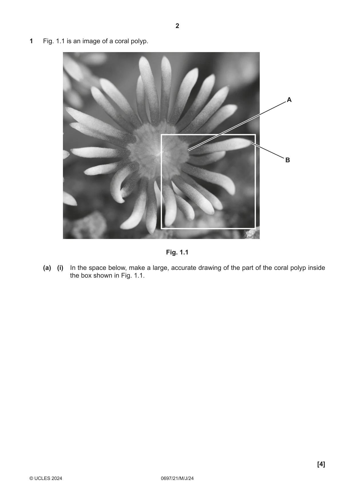 Cambridge IGCSE Marine Science (Maldives only) 0697 2024 May/June Paper 2 · Variant 1 question paper, page 2 of 20