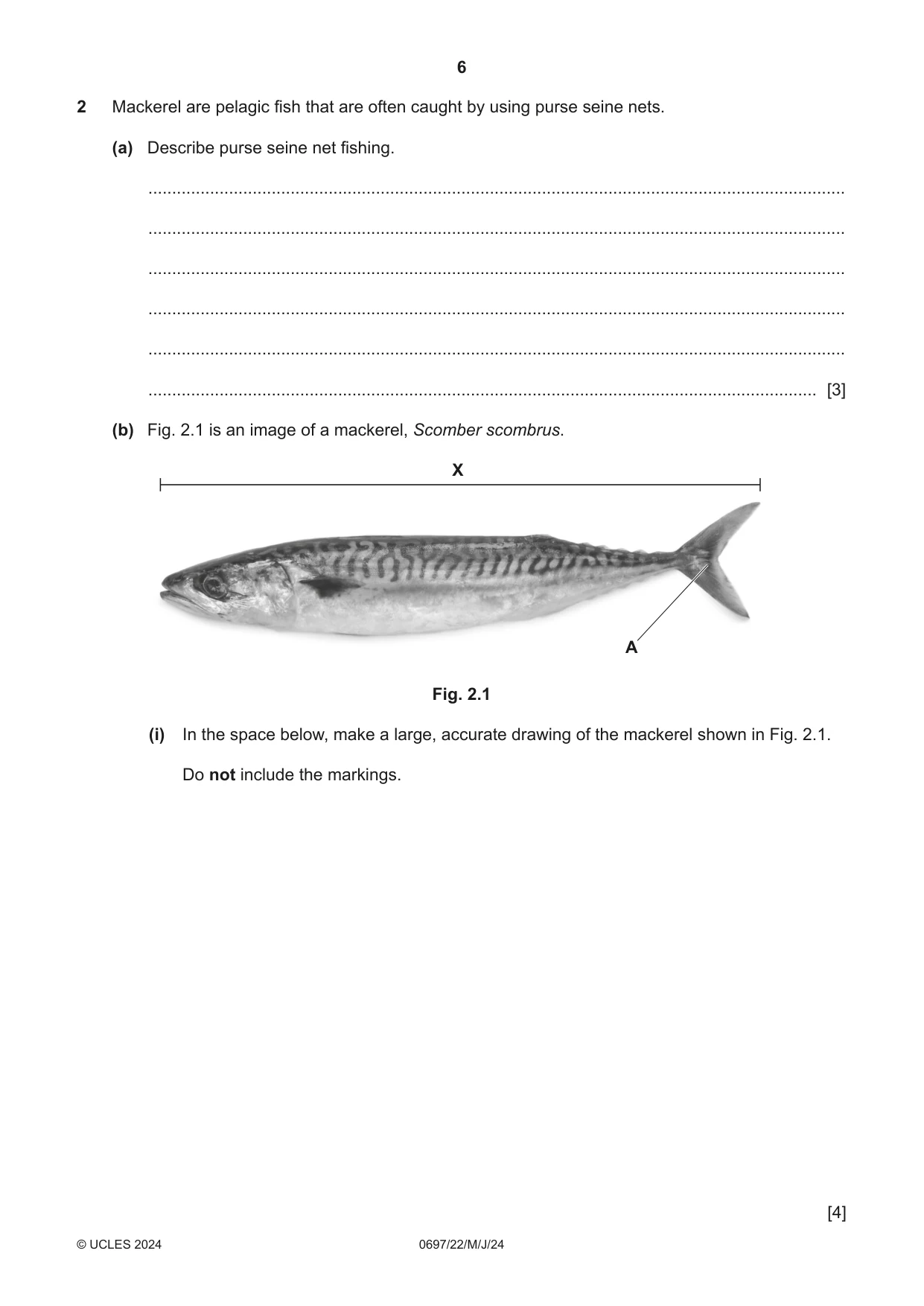 Cambridge IGCSE Marine Science (Maldives only) 0697 2024 May/June Paper 2 · Variant 2 question paper, page 6 of 24