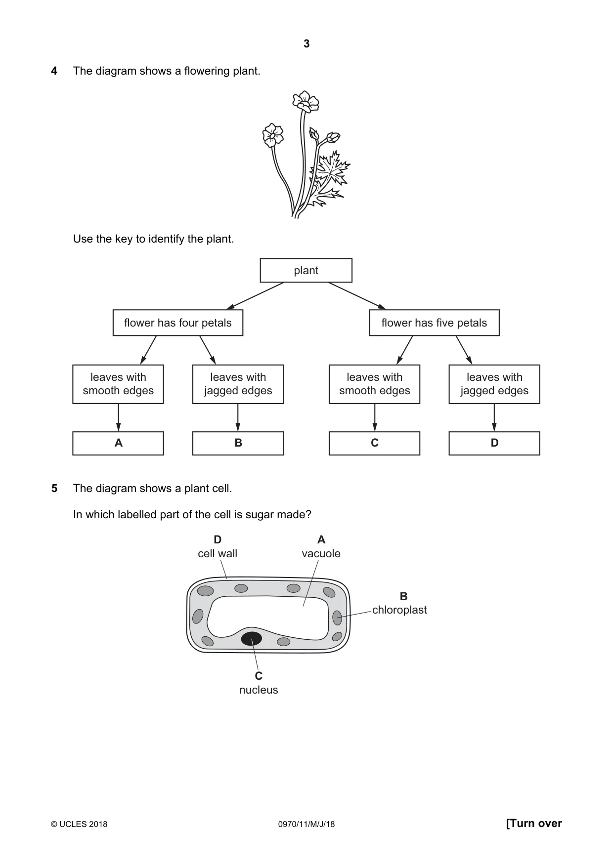 Cambridge IGCSE Biology (9-1) 0970 2018 May/June Paper 1 · Variant 1 question paper, page 3 of 16