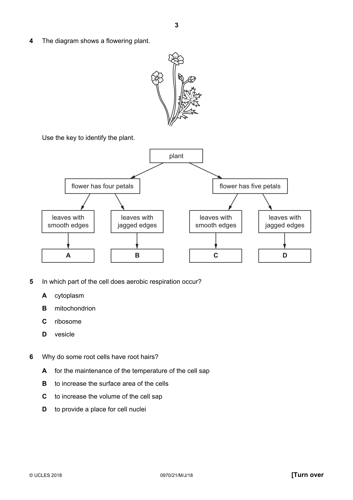 Cambridge IGCSE Biology (9-1) 0970 2018 May/June Paper 2 · Variant 1 question paper, page 3 of 16
