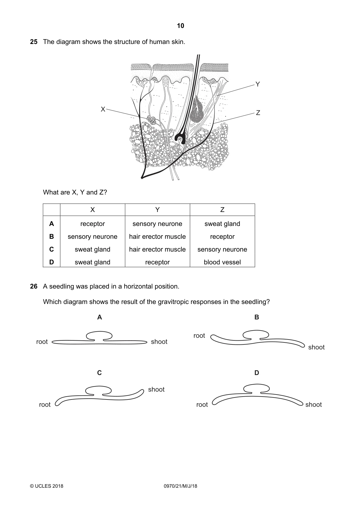 Cambridge IGCSE Biology (9-1) 0970 2018 May/June Paper 2 · Variant 1 question paper, page 10 of 16
