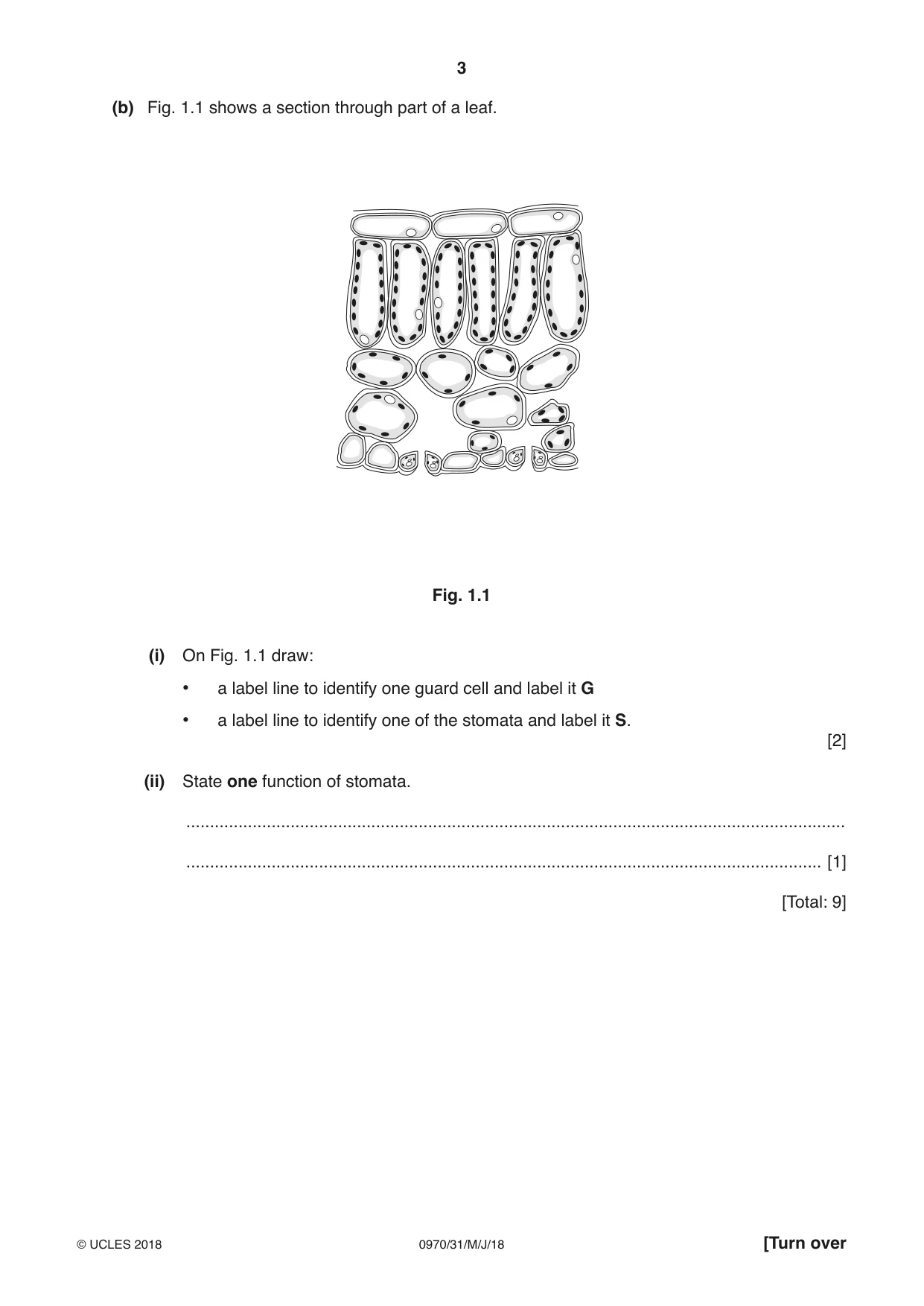 Cambridge IGCSE Biology (9-1) 0970 2018 May/June Paper 3 · Variant 1 question paper, page 3 of 20