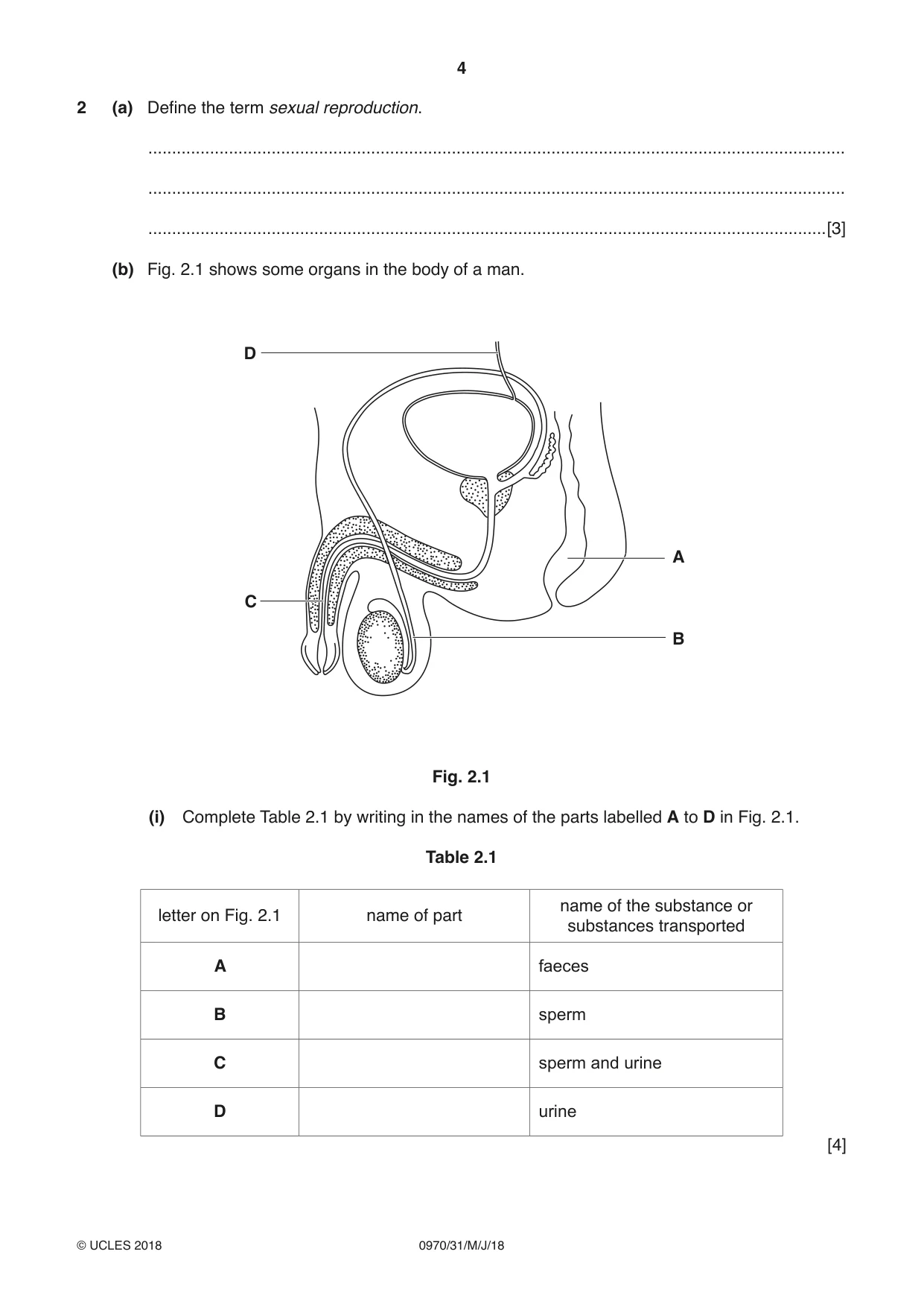 Cambridge IGCSE Biology (9-1) 0970 2018 May/June Paper 3 · Variant 1 question paper, page 4 of 20