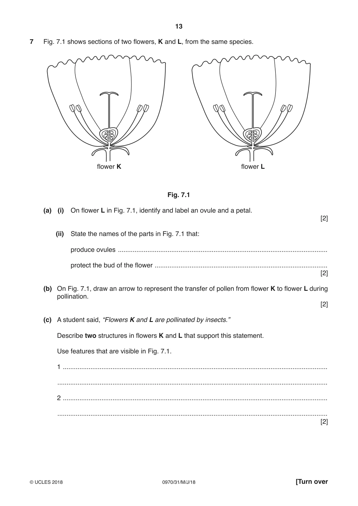 Cambridge IGCSE Biology (9-1) 0970 2018 May/June Paper 3 · Variant 1 question paper, page 13 of 20