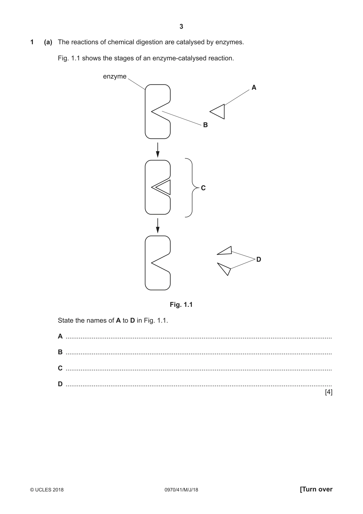 Cambridge IGCSE Biology (9-1) 0970 2018 May/June Paper 4 · Variant 1 question paper, page 3 of 20