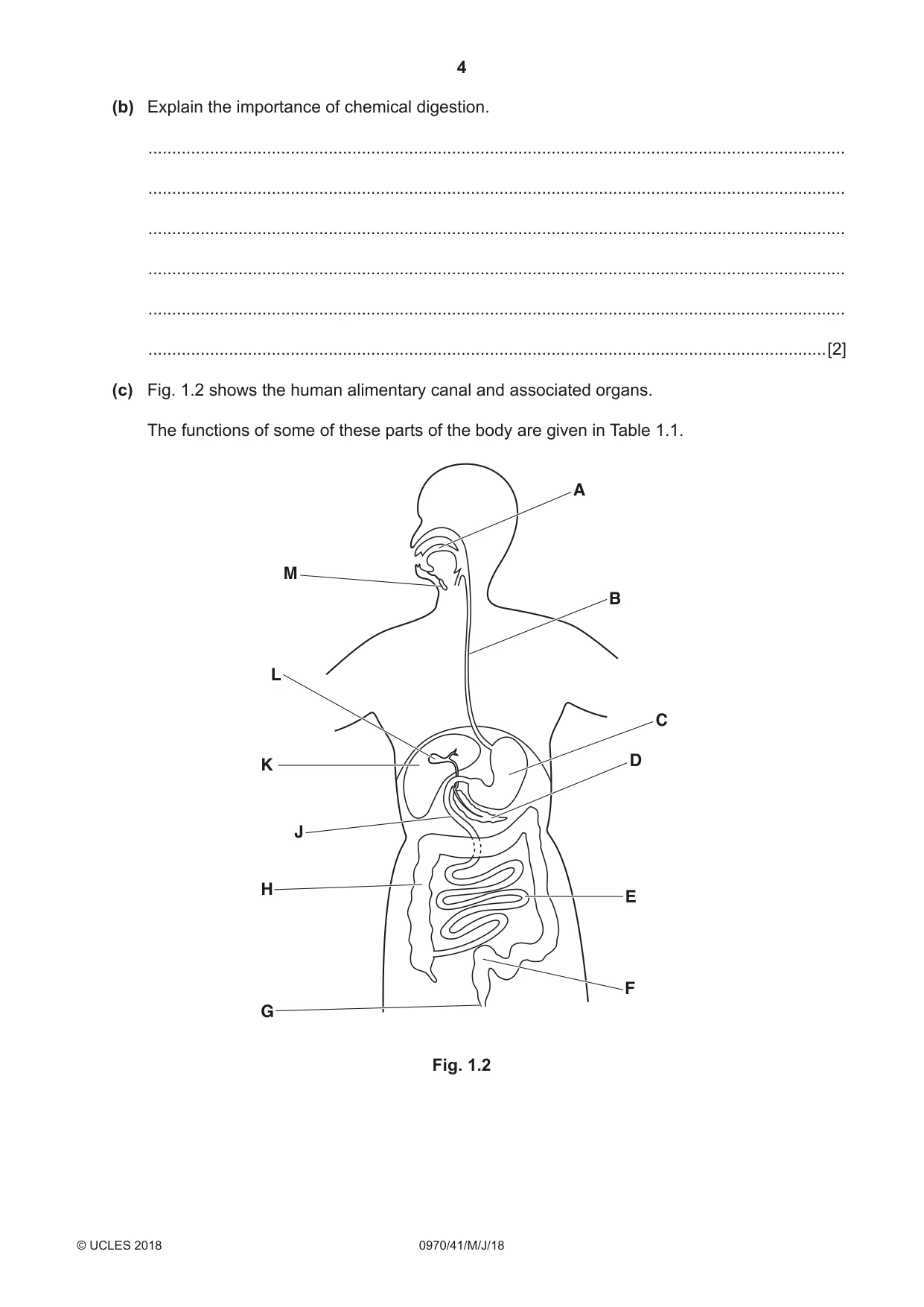 Cambridge IGCSE Biology (9-1) 0970 2018 May/June Paper 4 · Variant 1 question paper, page 4 of 20