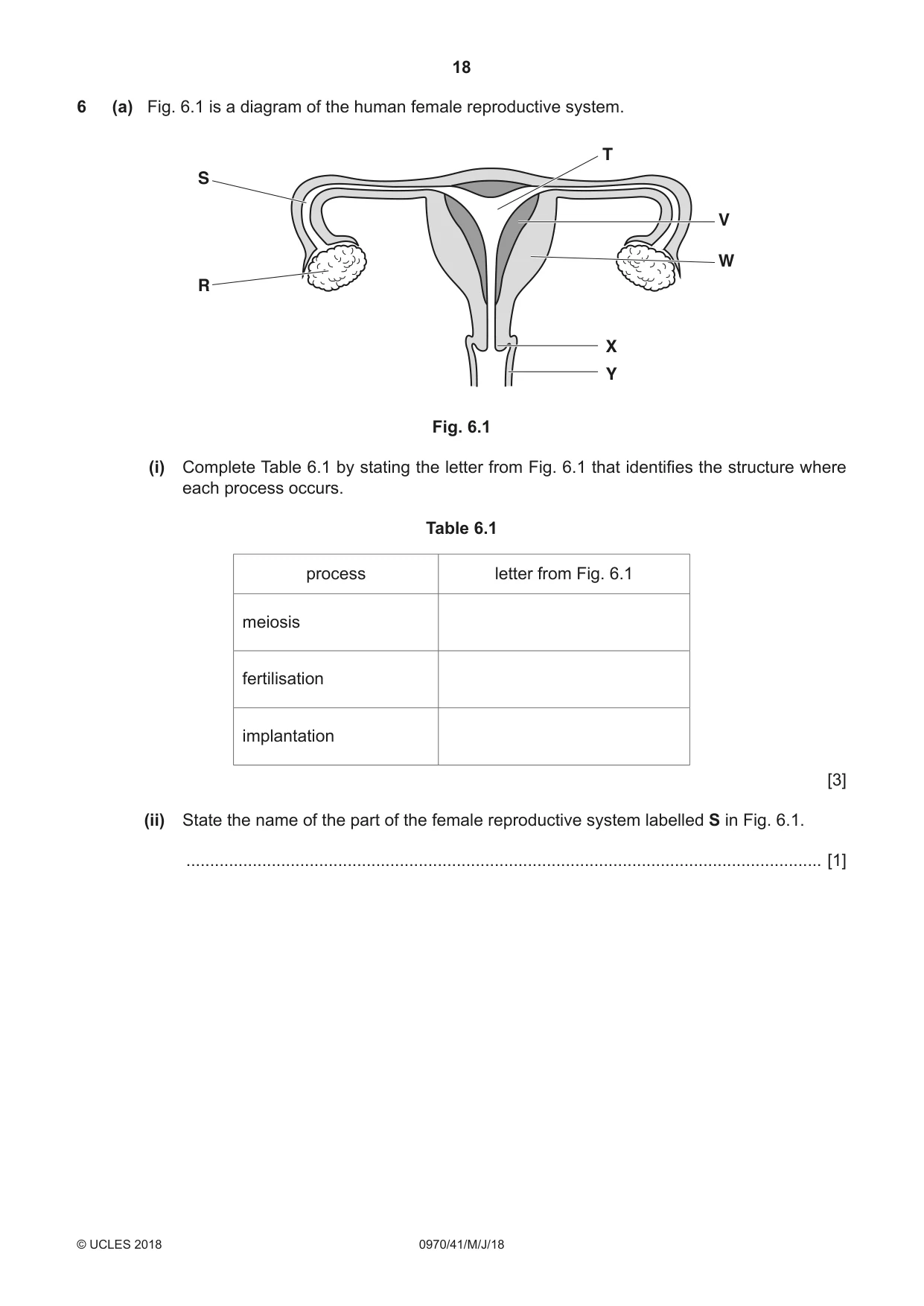 Cambridge IGCSE Biology (9-1) 0970 2018 May/June Paper 4 · Variant 1 question paper, page 18 of 20