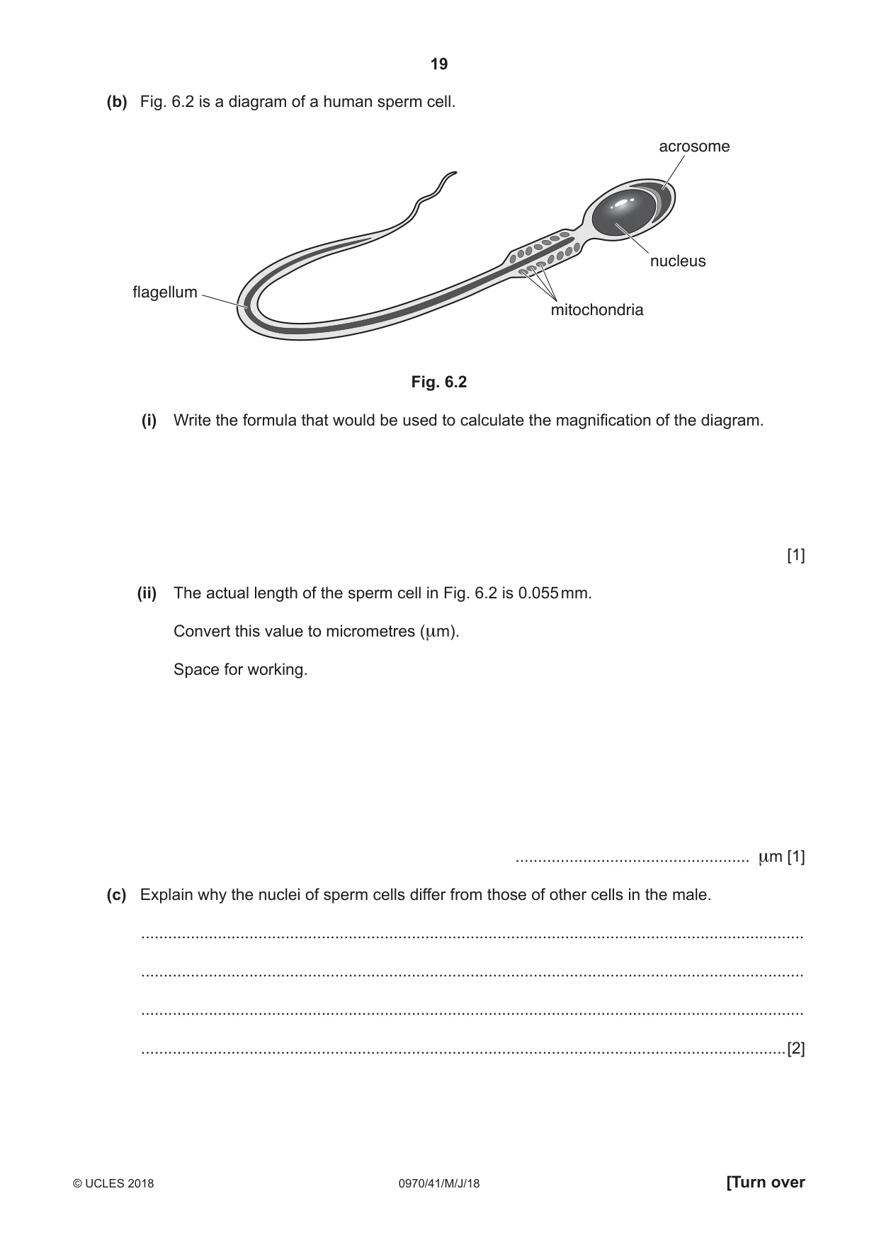 Cambridge IGCSE Biology (9-1) 0970 2018 May/June Paper 4 · Variant 1 question paper, page 19 of 20