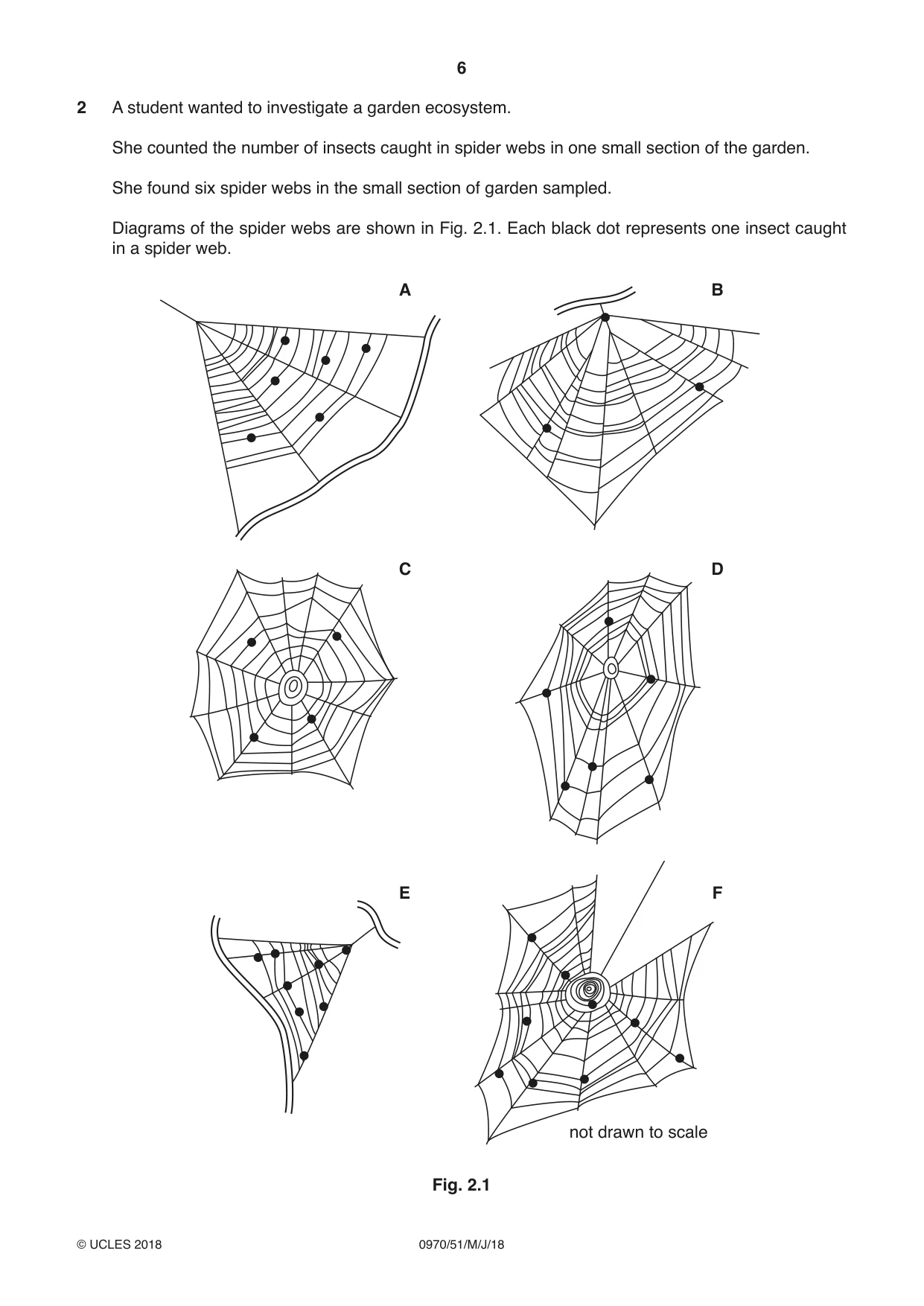 Cambridge IGCSE Biology (9-1) 0970 2018 May/June Paper 5 · Variant 1 question paper, page 6 of 12