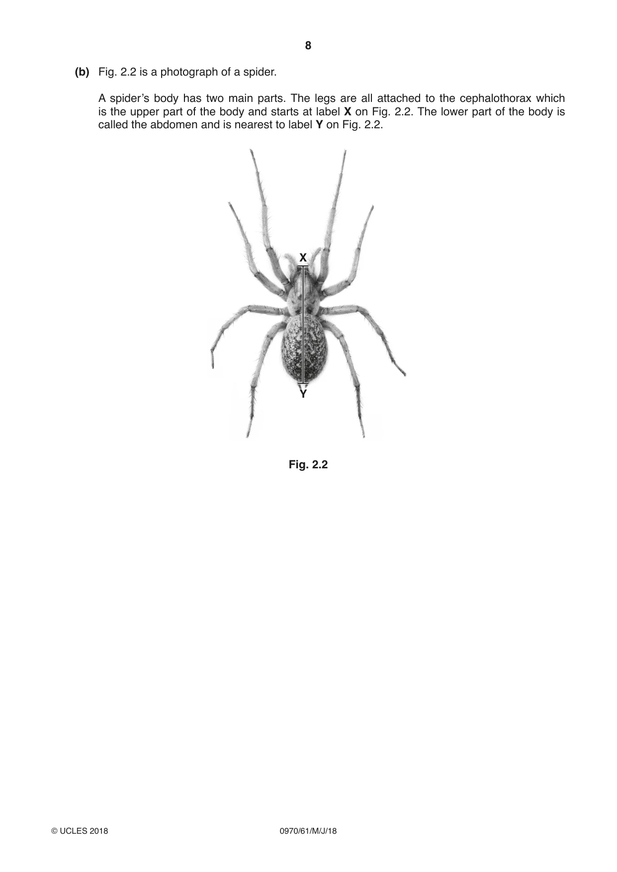 Cambridge IGCSE Biology (9-1) 0970 2018 May/June Paper 6 · Variant 1 question paper, page 8 of 12