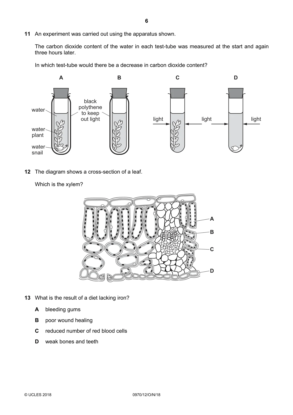 Cambridge IGCSE Biology (9-1) 0970 2018 Oct/Nov Paper 1 · Variant 2 question paper, page 6 of 20
