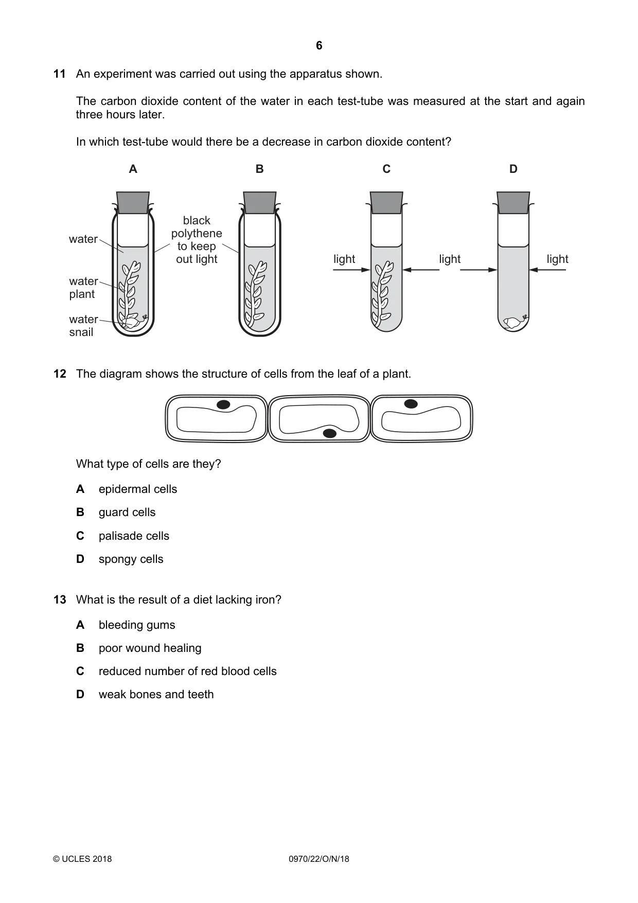 Cambridge IGCSE Biology (9-1) 0970 2018 Oct/Nov Paper 2 · Variant 2 question paper, page 6 of 20