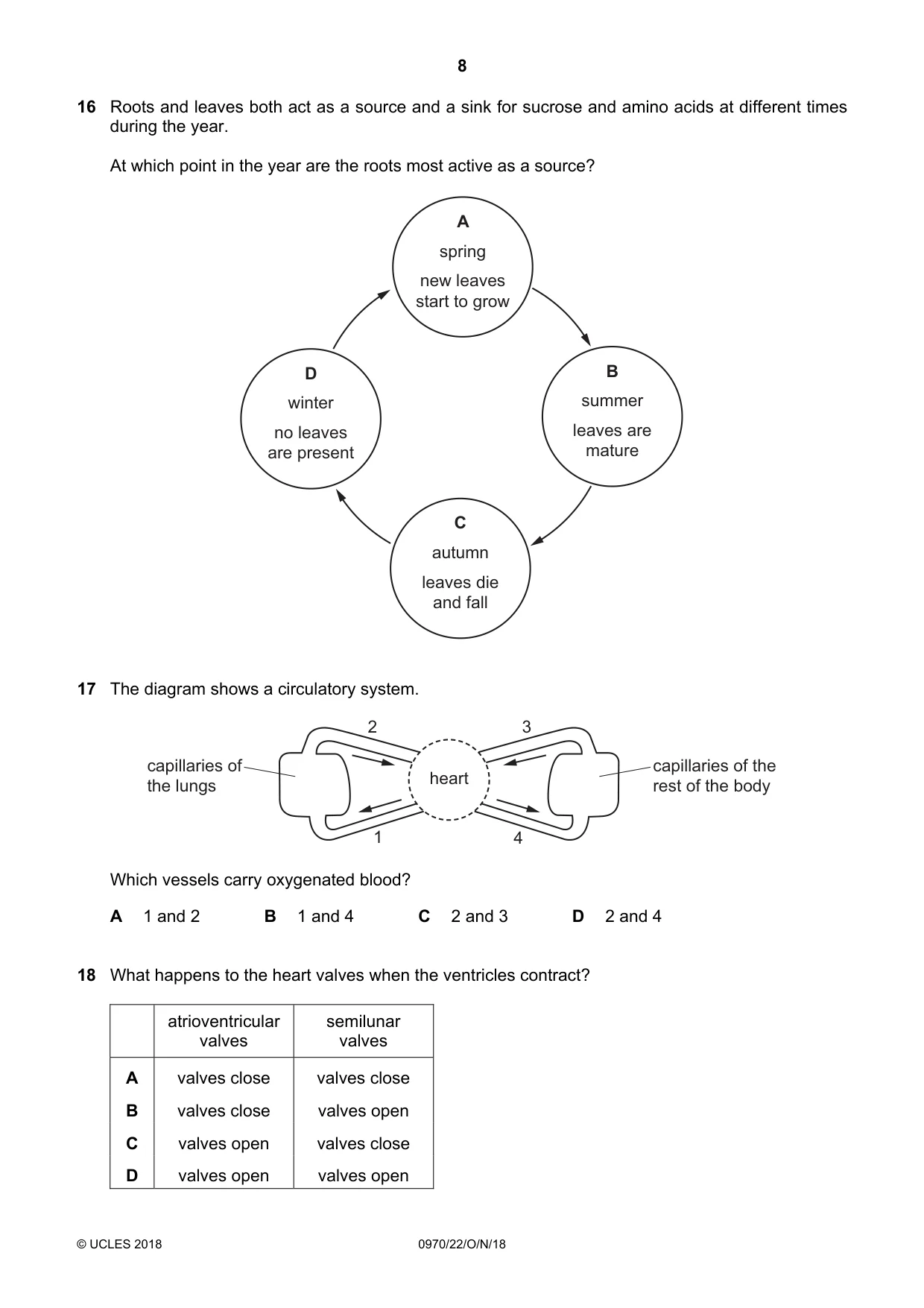 Cambridge IGCSE Biology (9-1) 0970 2018 Oct/Nov Paper 2 · Variant 2 question paper, page 8 of 20