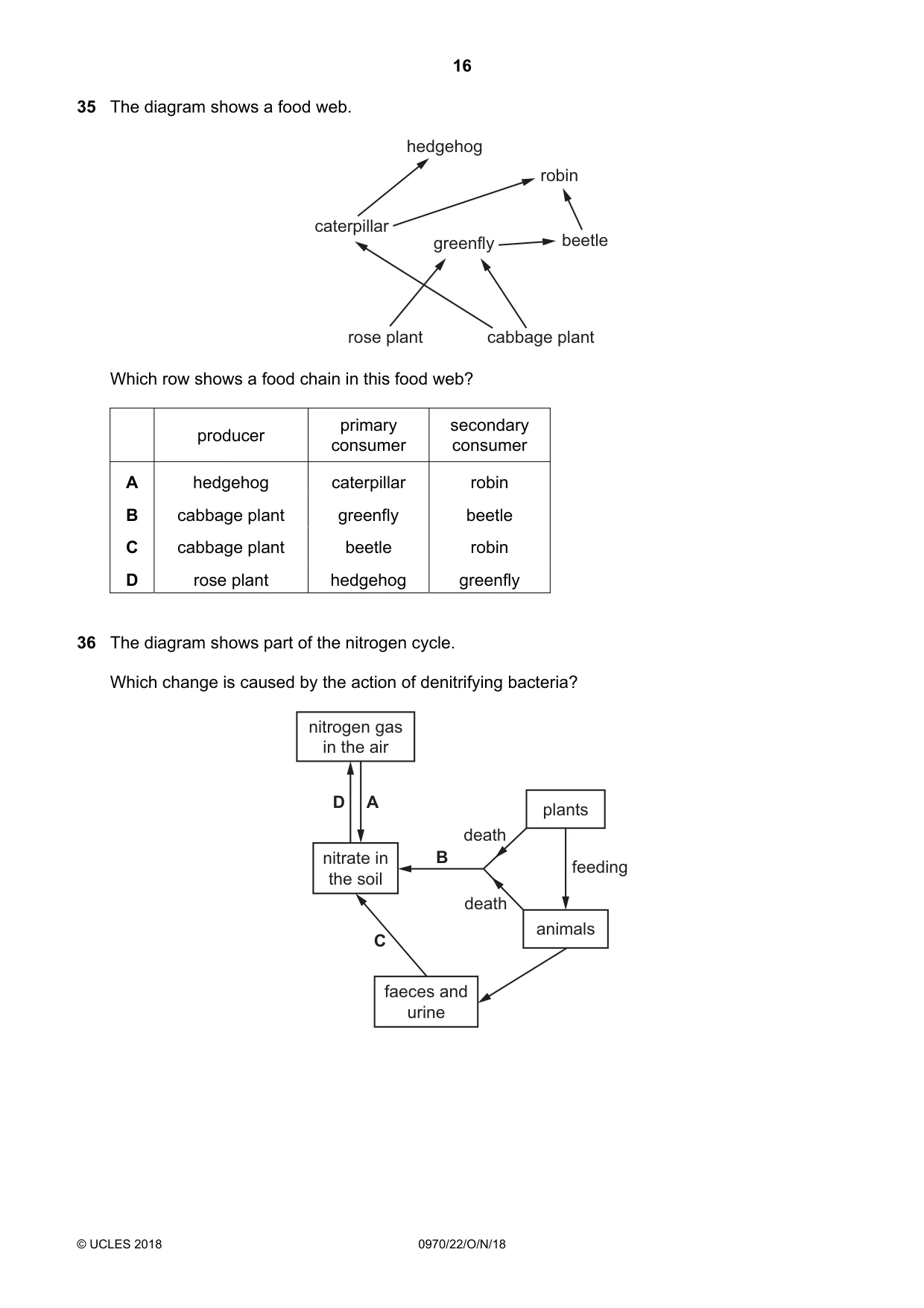 Cambridge IGCSE Biology (9-1) 0970 2018 Oct/Nov Paper 2 · Variant 2 question paper, page 16 of 20