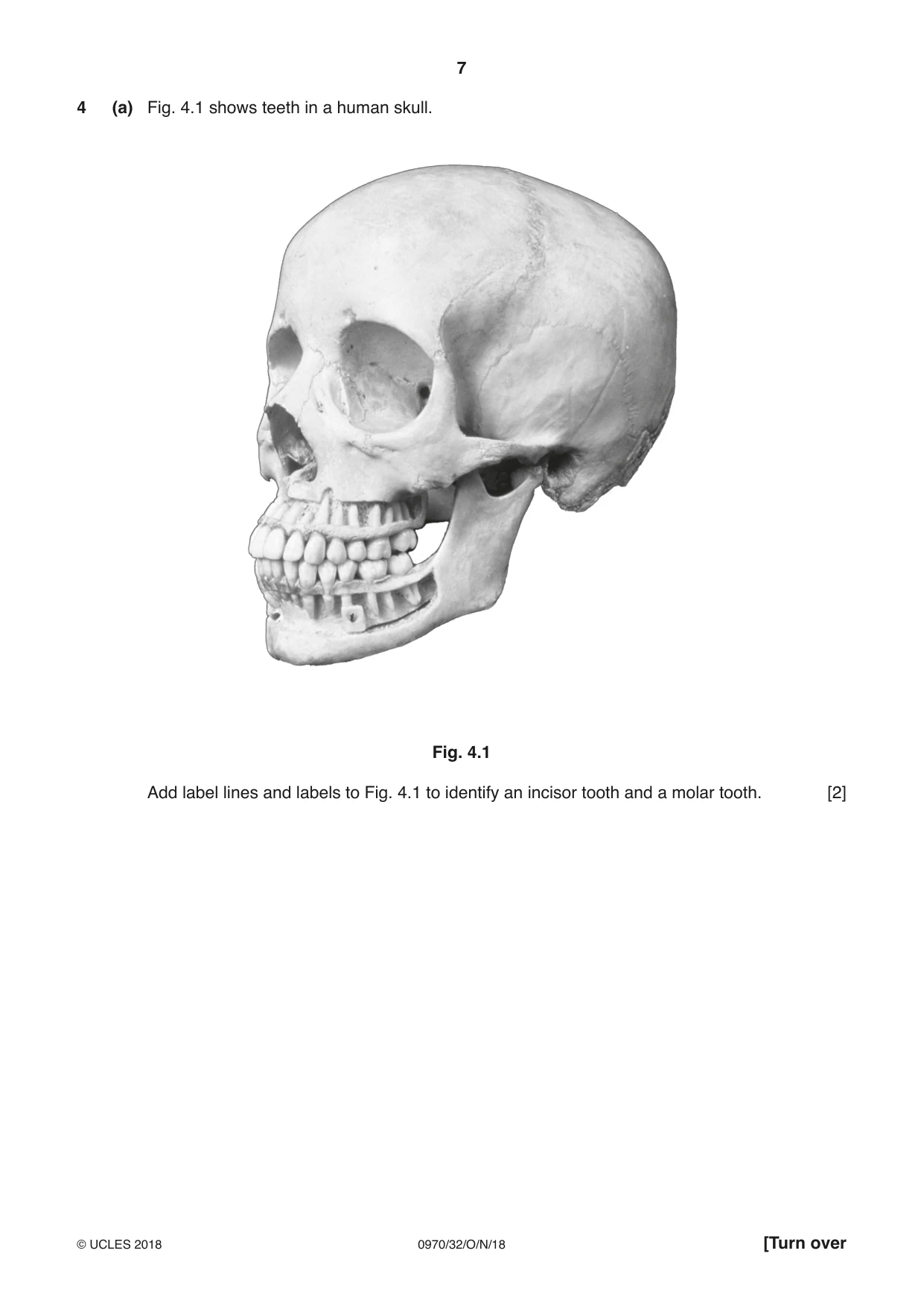 Cambridge IGCSE Biology (9-1) 0970 2018 Oct/Nov Paper 3 · Variant 2 question paper, page 7 of 20