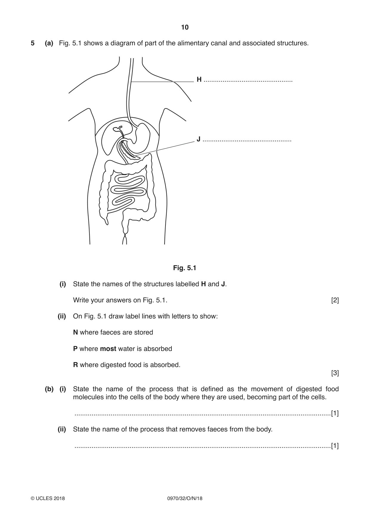 Cambridge IGCSE Biology (9-1) 0970 2018 Oct/Nov Paper 3 · Variant 2 question paper, page 10 of 20