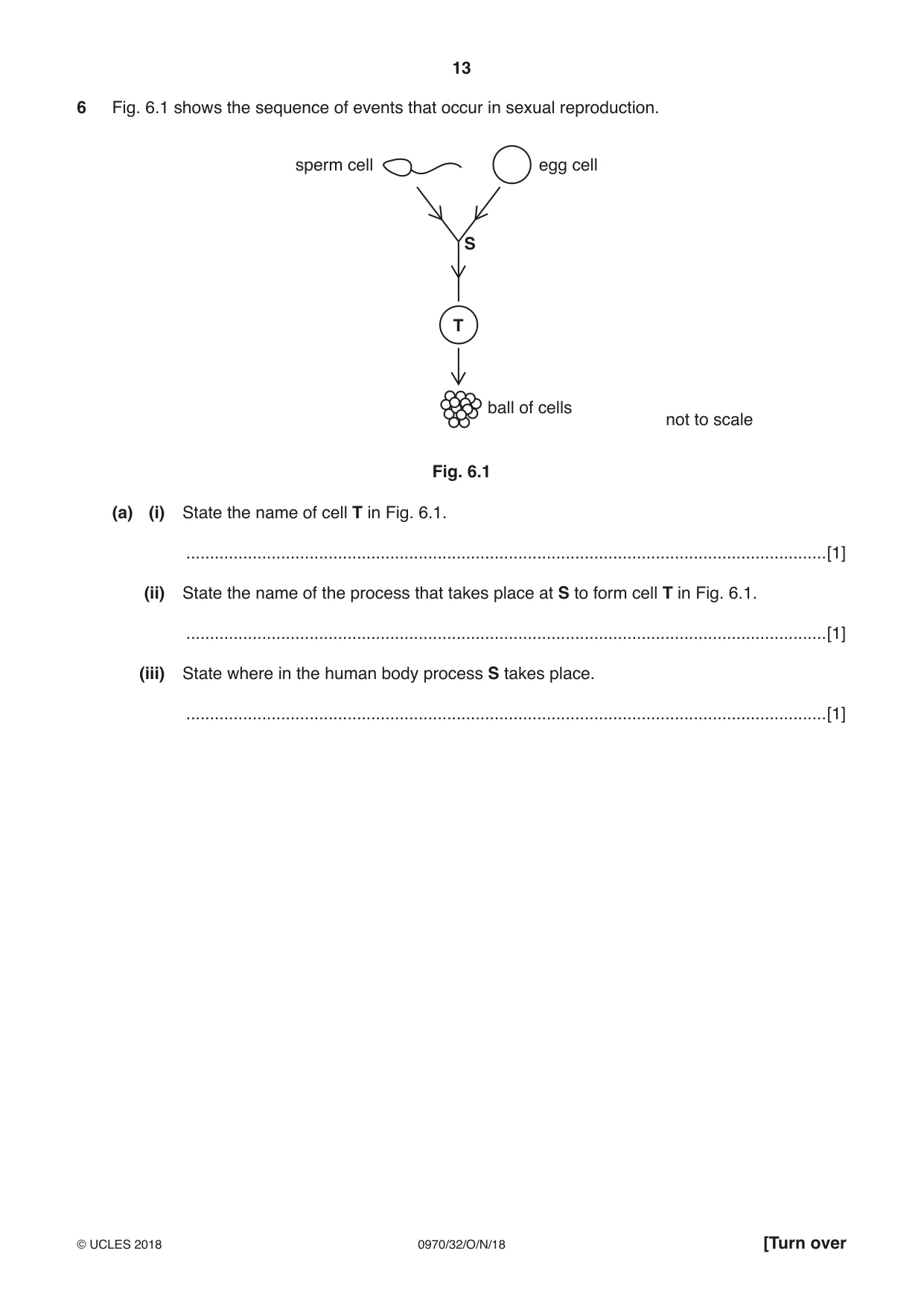Cambridge IGCSE Biology (9-1) 0970 2018 Oct/Nov Paper 3 · Variant 2 question paper, page 13 of 20