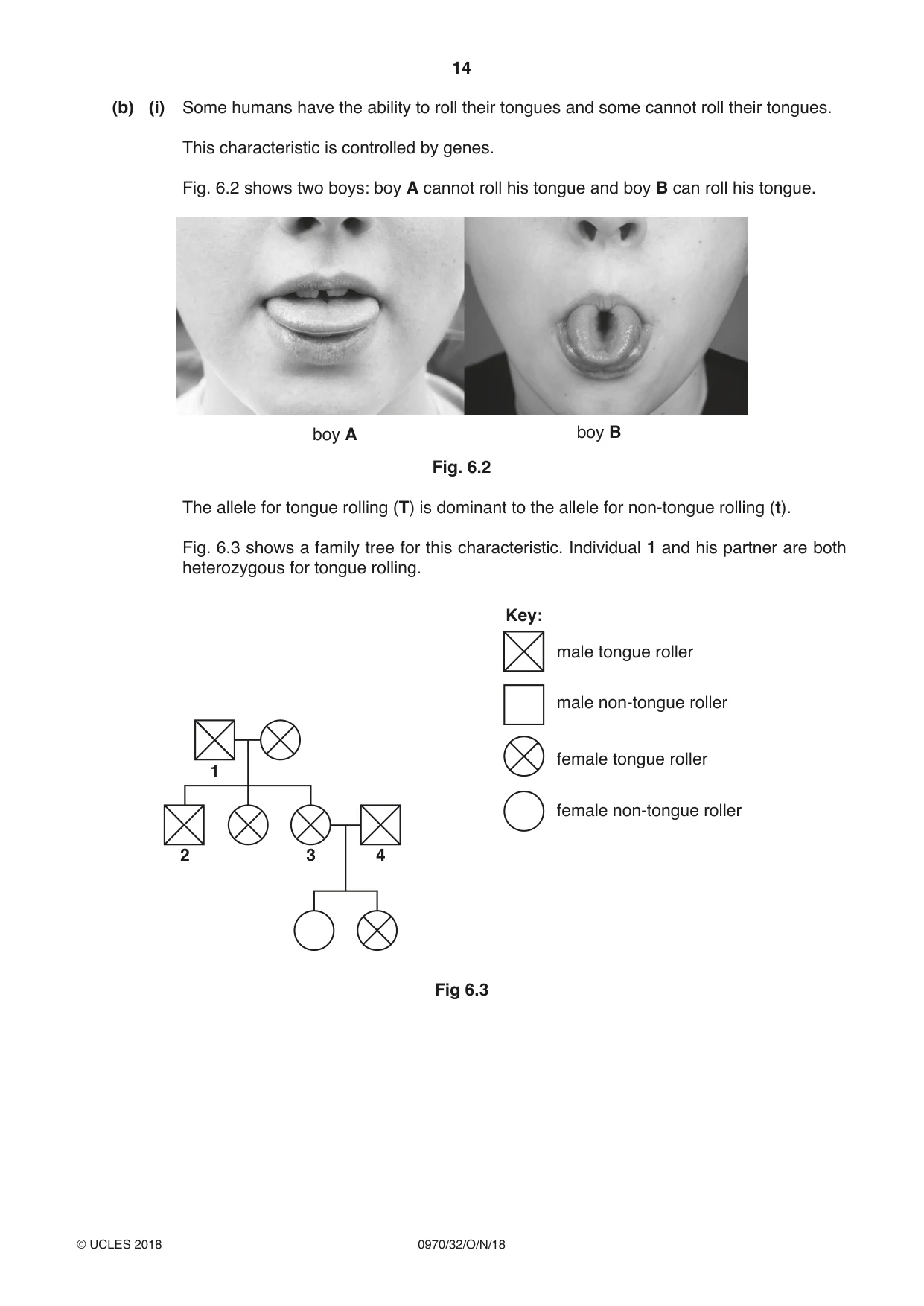 Cambridge IGCSE Biology (9-1) 0970 2018 Oct/Nov Paper 3 · Variant 2 question paper, page 14 of 20