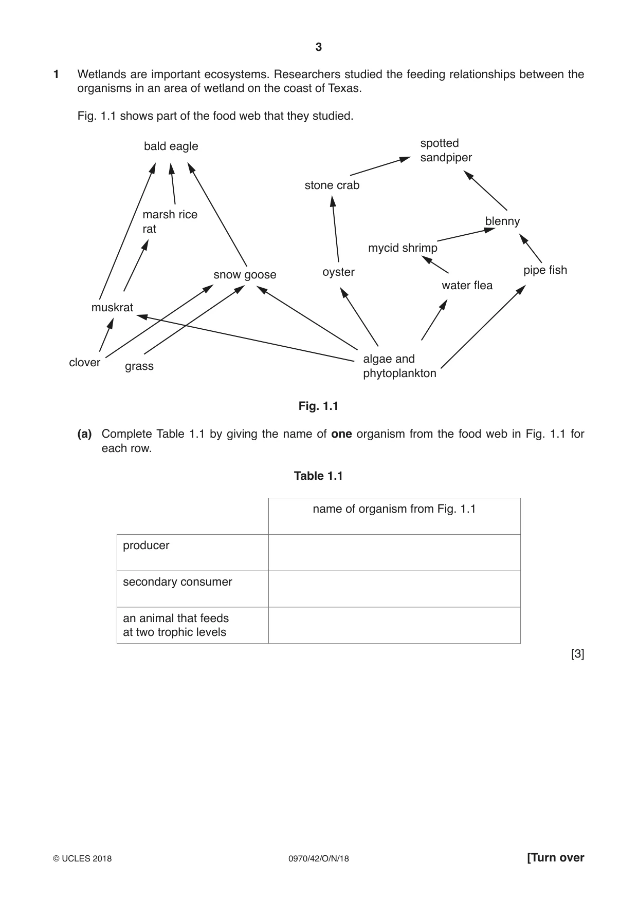 Cambridge IGCSE Biology (9-1) 0970 2018 Oct/Nov Paper 4 · Variant 2 question paper, page 3 of 20