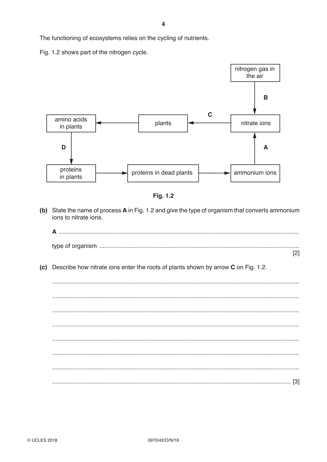 Cambridge IGCSE Biology (9-1) 0970 2018 Oct/Nov Paper 4 · Variant 2 question paper, page 4 of 20