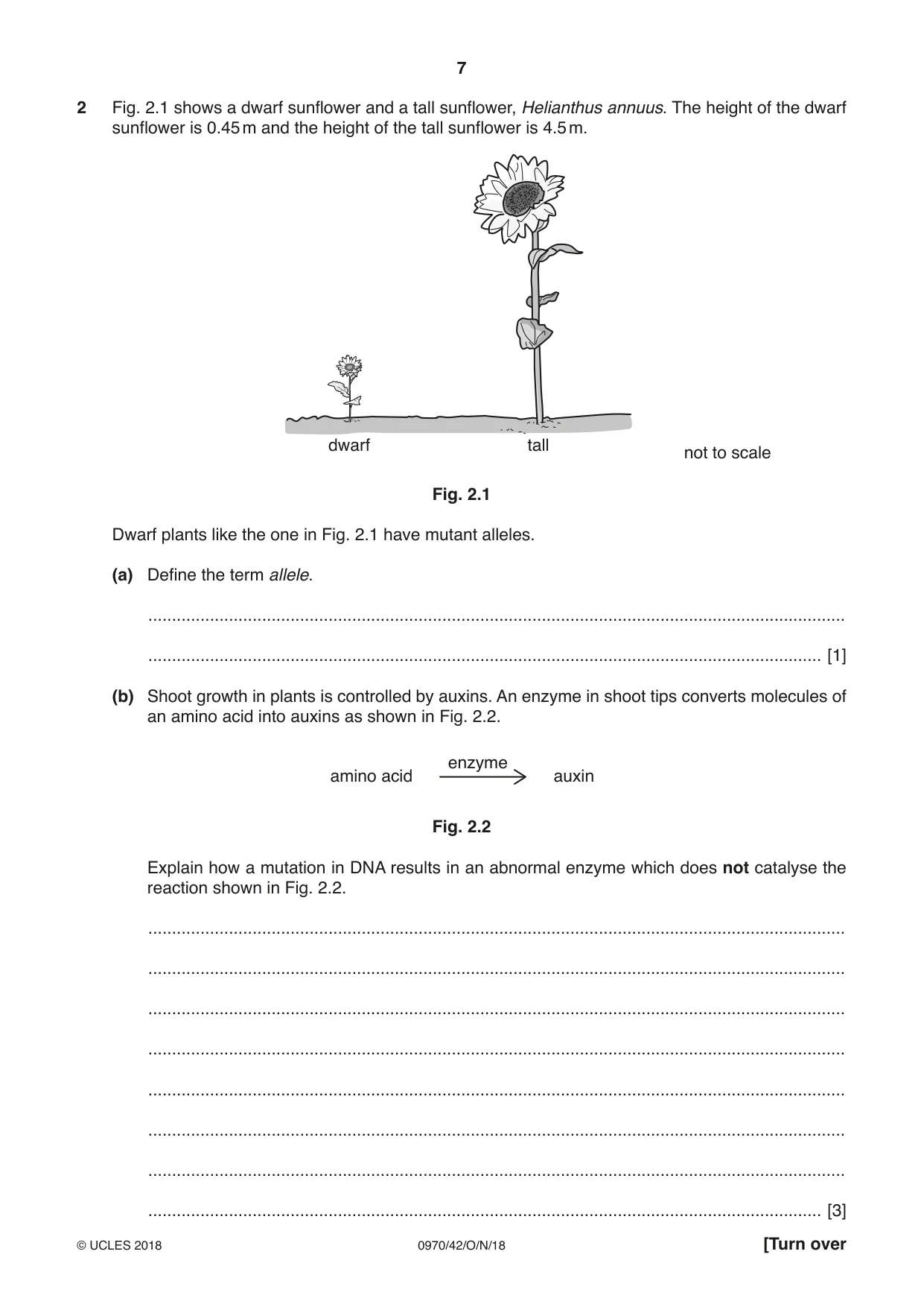 Cambridge IGCSE Biology (9-1) 0970 2018 Oct/Nov Paper 4 · Variant 2 question paper, page 7 of 20
