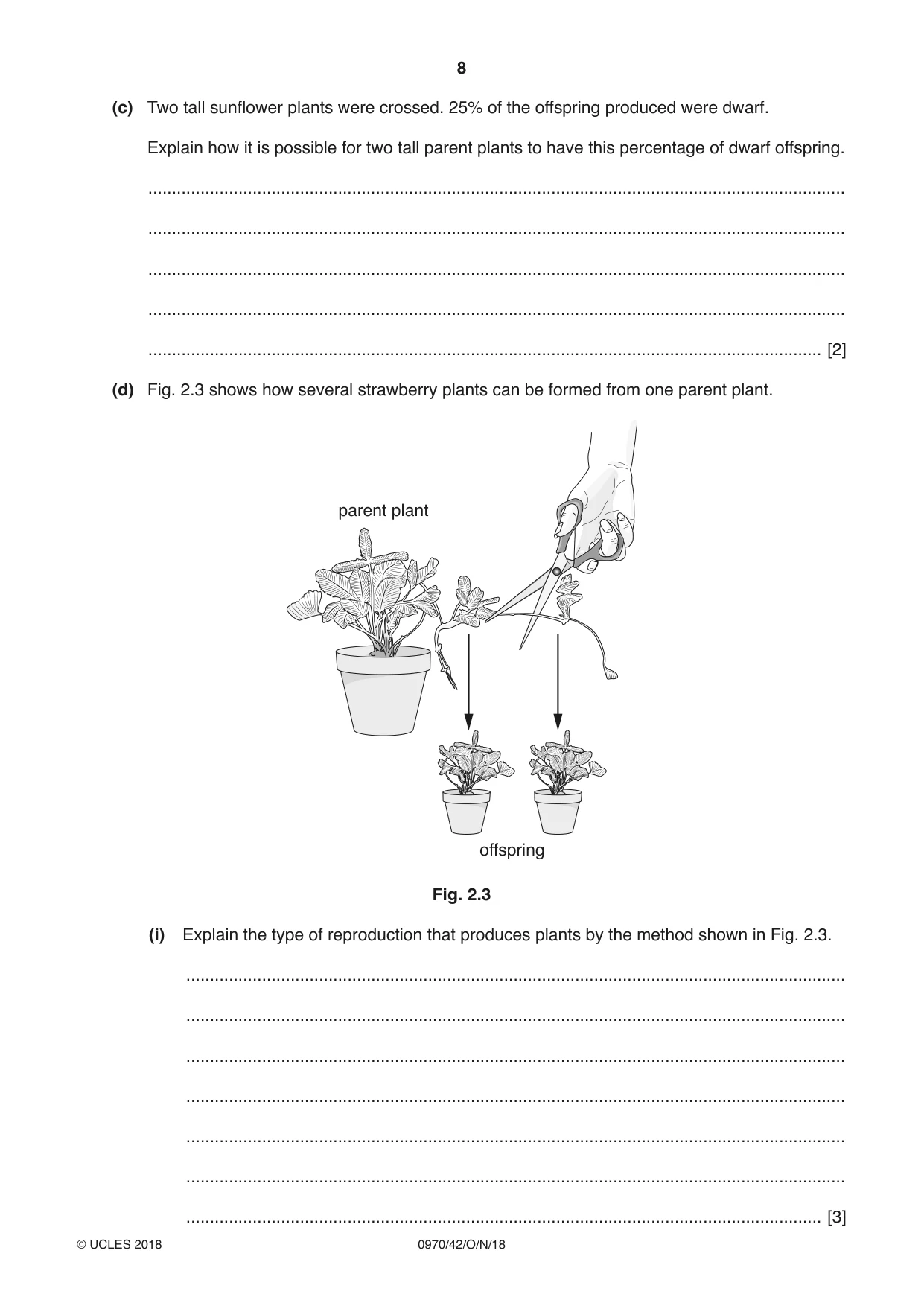 Cambridge IGCSE Biology (9-1) 0970 2018 Oct/Nov Paper 4 · Variant 2 question paper, page 8 of 20