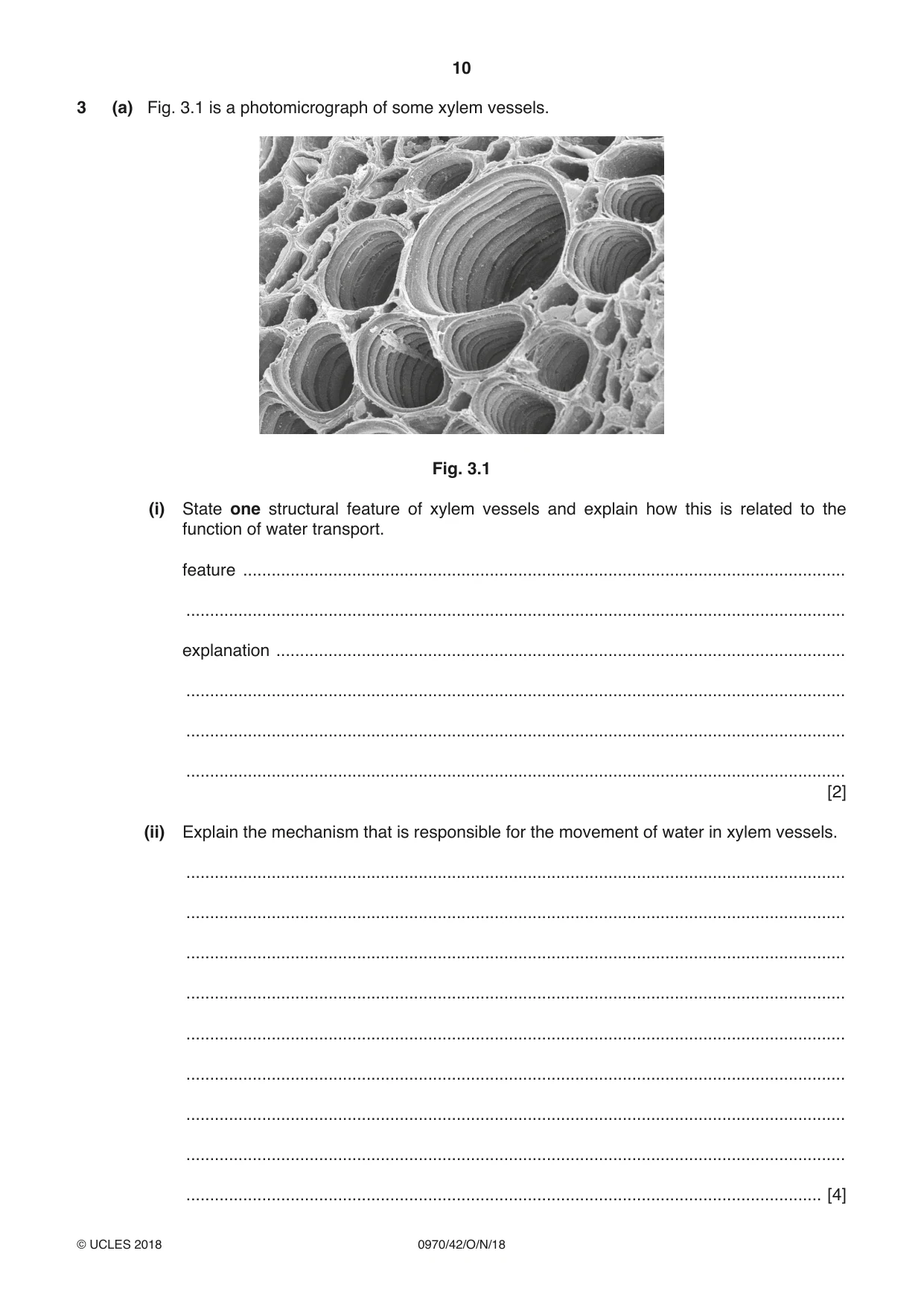 Cambridge IGCSE Biology (9-1) 0970 2018 Oct/Nov Paper 4 · Variant 2 question paper, page 10 of 20