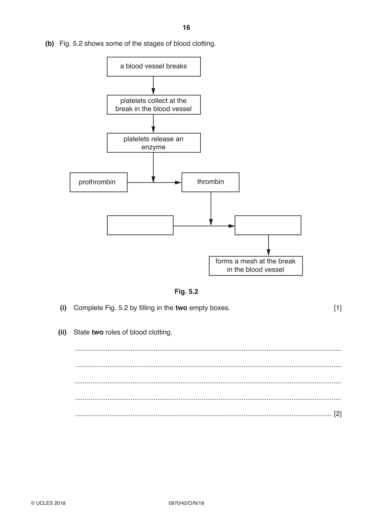 Cambridge IGCSE Biology (9-1) 0970 2018 Oct/Nov Paper 4 · Variant 2 question paper, page 16 of 20