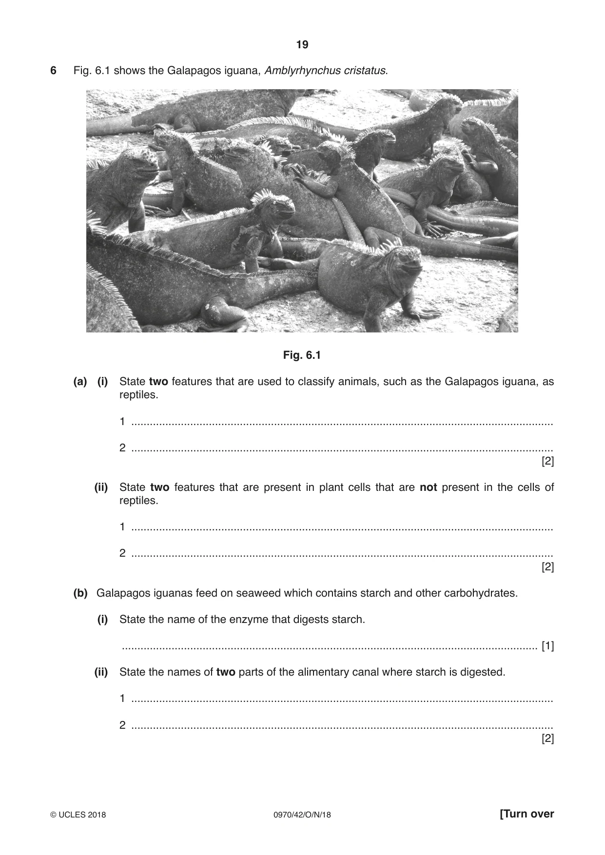 Cambridge IGCSE Biology (9-1) 0970 2018 Oct/Nov Paper 4 · Variant 2 question paper, page 19 of 20