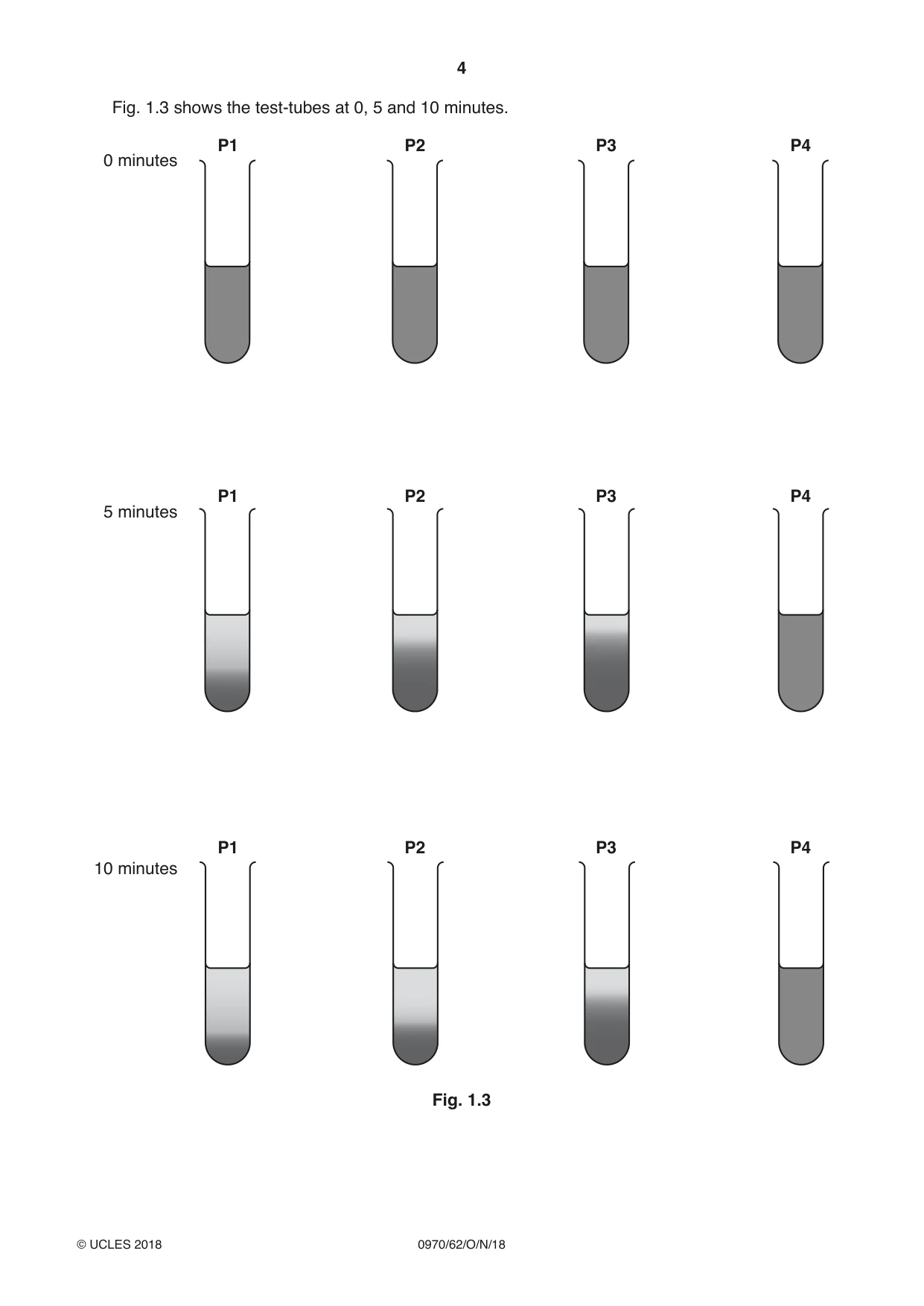 Cambridge IGCSE Biology (9-1) 0970 2018 Oct/Nov Paper 6 · Variant 2 question paper, page 4 of 12