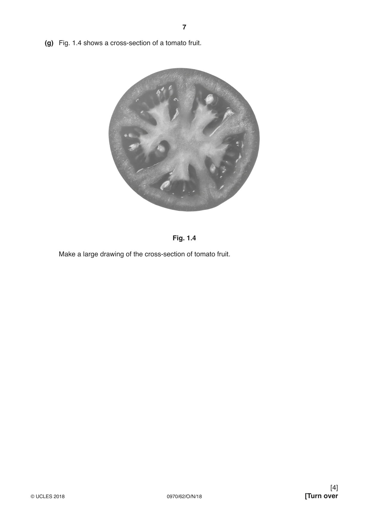 Cambridge IGCSE Biology (9-1) 0970 2018 Oct/Nov Paper 6 · Variant 2 question paper, page 7 of 12