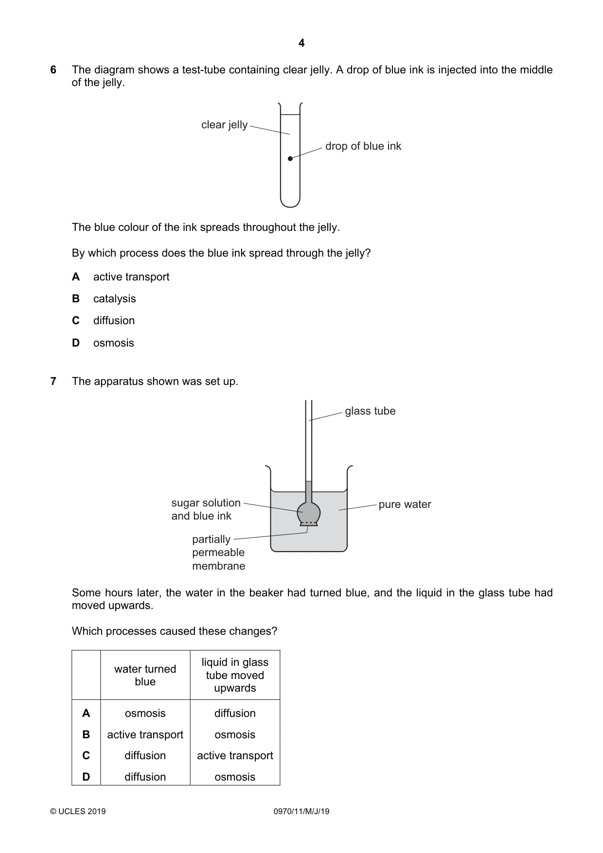 Cambridge IGCSE Biology (9-1) 0970 2019 May/June Paper 1 · Variant 1 question paper, page 4 of 16