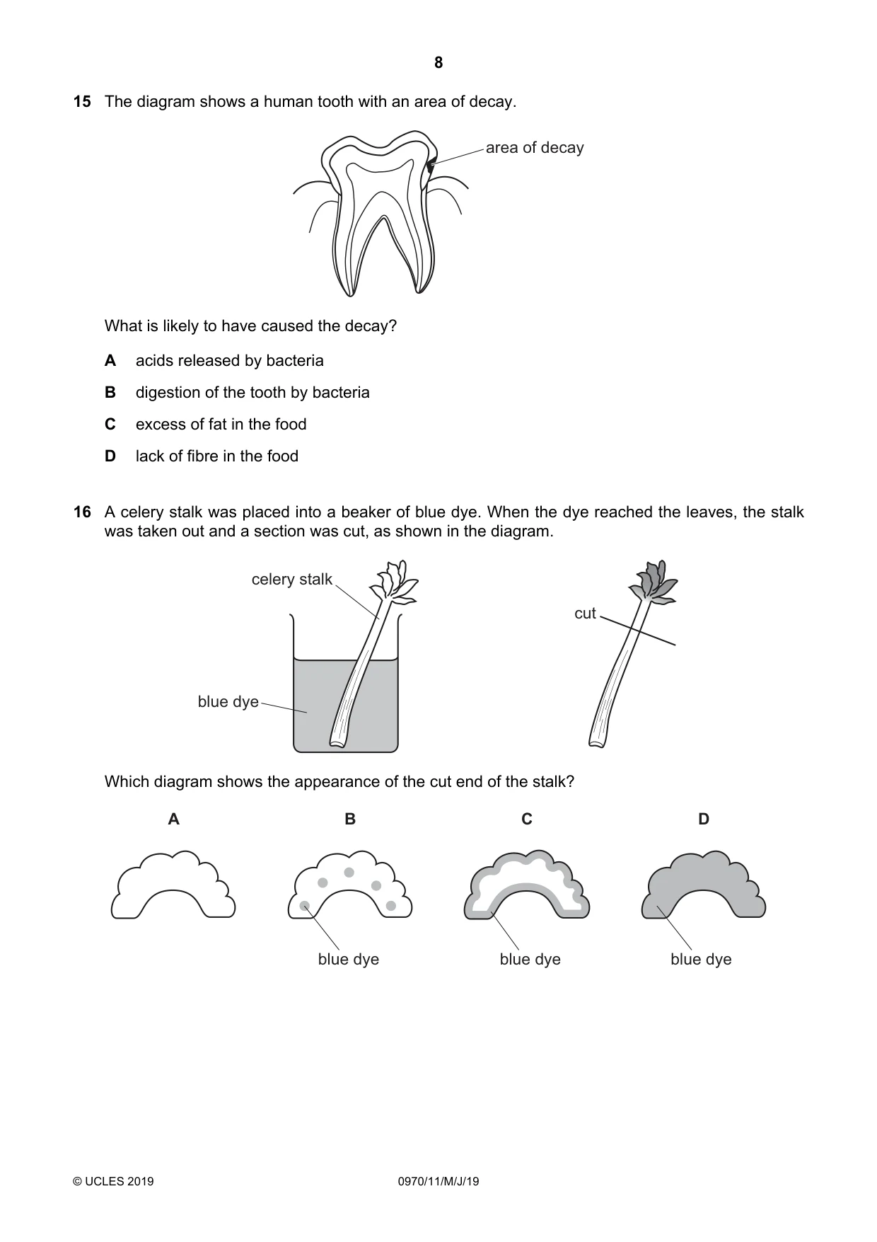 Cambridge IGCSE Biology (9-1) 0970 2019 May/June Paper 1 · Variant 1 question paper, page 8 of 16