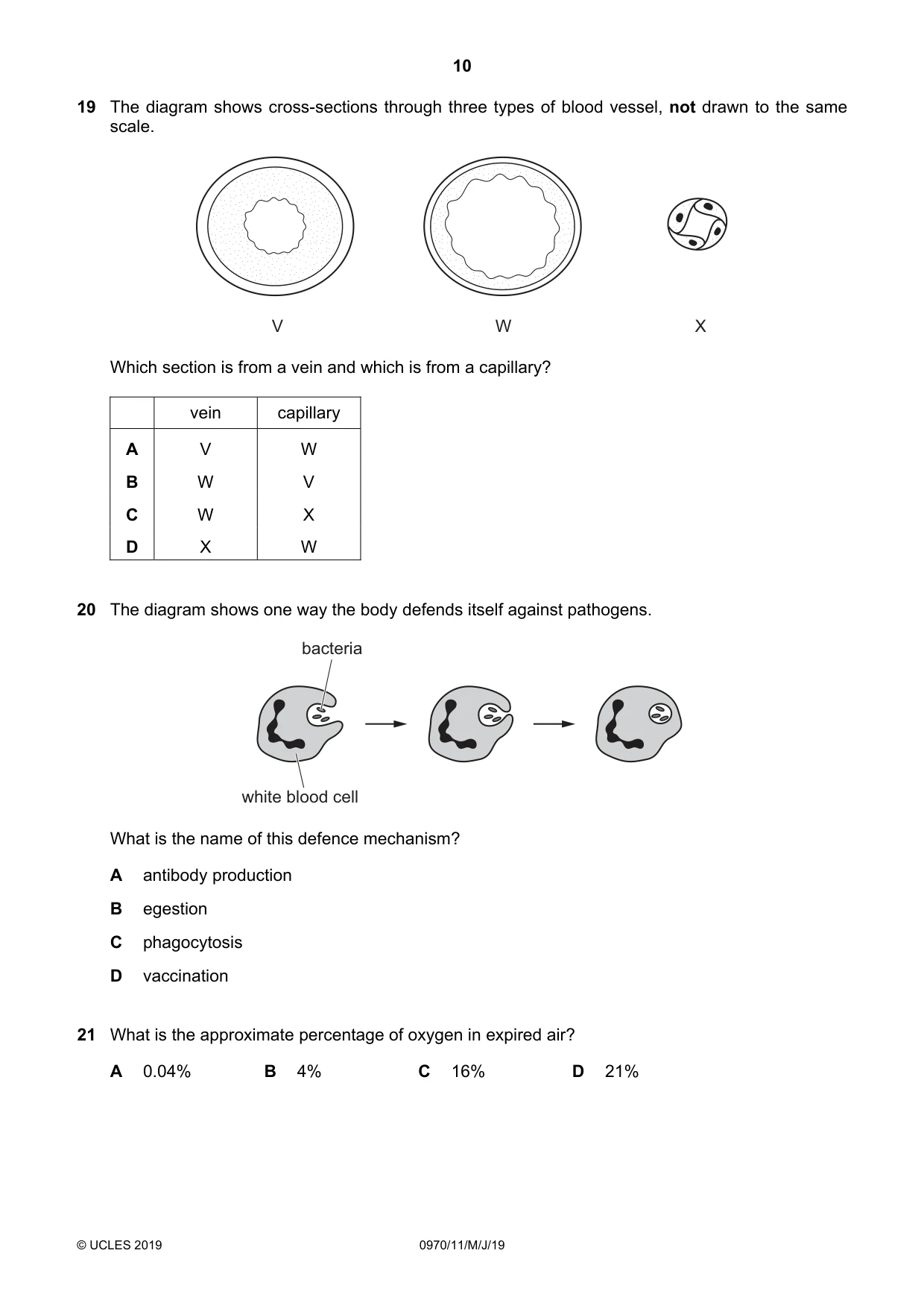 Cambridge IGCSE Biology (9-1) 0970 2019 May/June Paper 1 · Variant 1 question paper, page 10 of 16