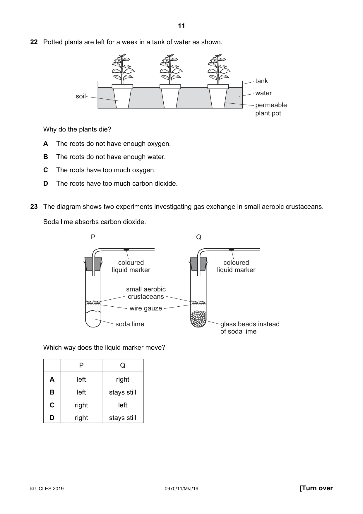 Cambridge IGCSE Biology (9-1) 0970 2019 May/June Paper 1 · Variant 1 question paper, page 11 of 16
