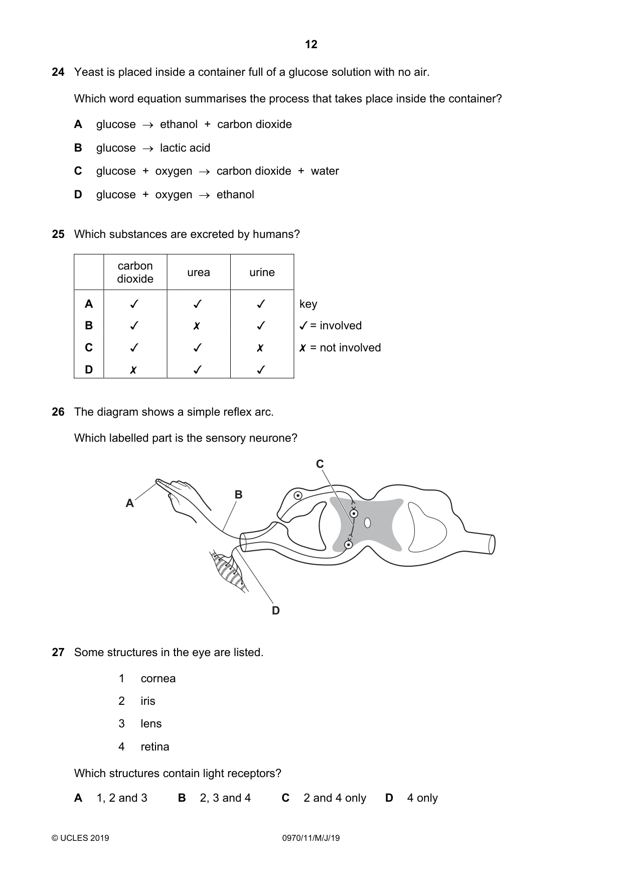 Cambridge IGCSE Biology (9-1) 0970 2019 May/June Paper 1 · Variant 1 question paper, page 12 of 16