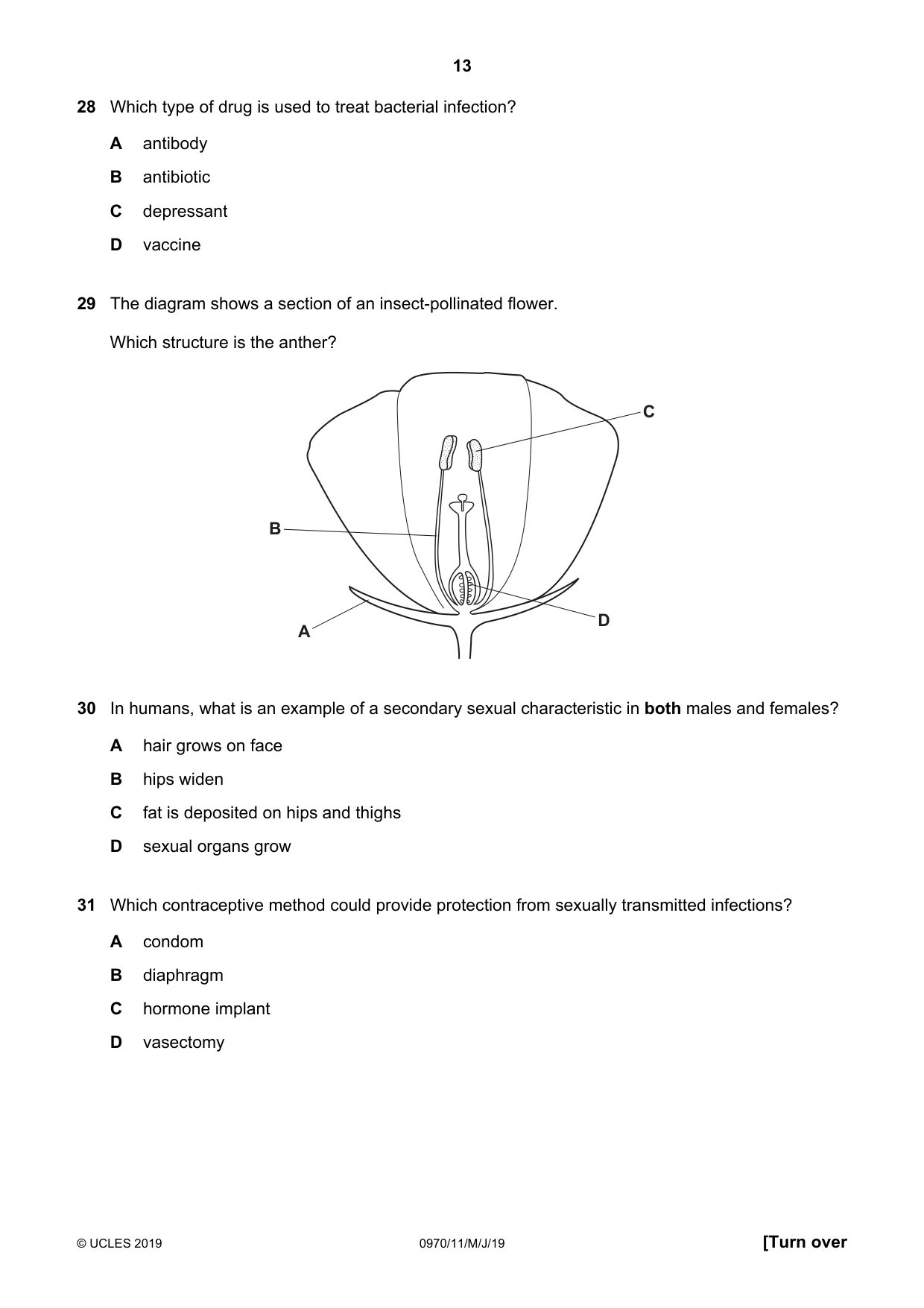 Cambridge IGCSE Biology (9-1) 0970 2019 May/June Paper 1 · Variant 1 question paper, page 13 of 16