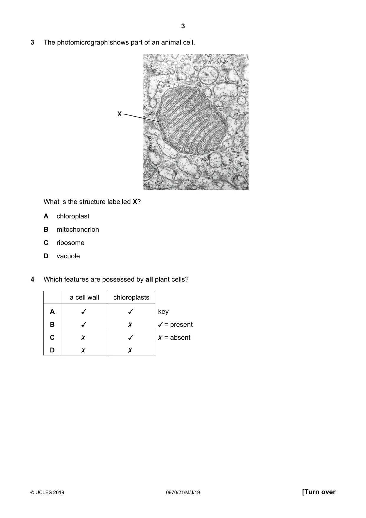 Cambridge IGCSE Biology (9-1) 0970 2019 May/June Paper 2 · Variant 1 question paper, page 3 of 20