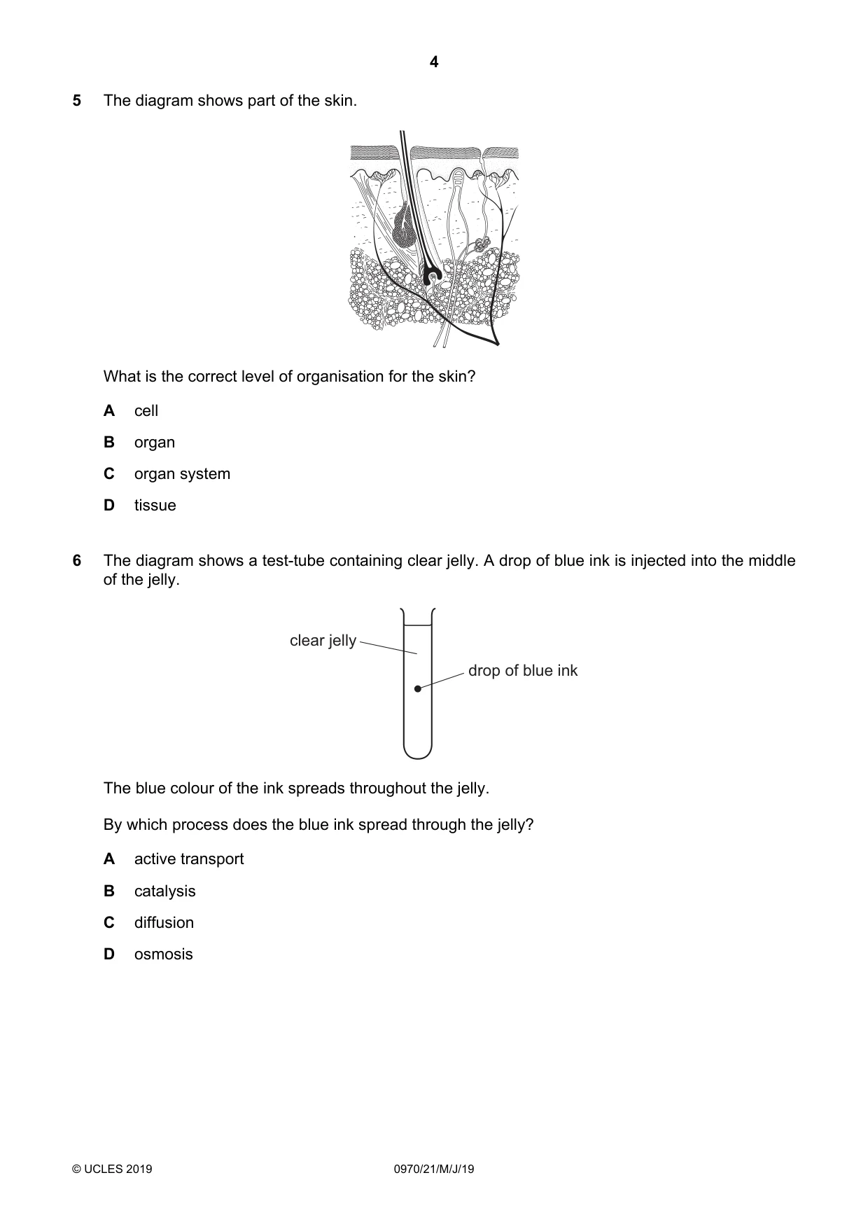 Cambridge IGCSE Biology (9-1) 0970 2019 May/June Paper 2 · Variant 1 question paper, page 4 of 20